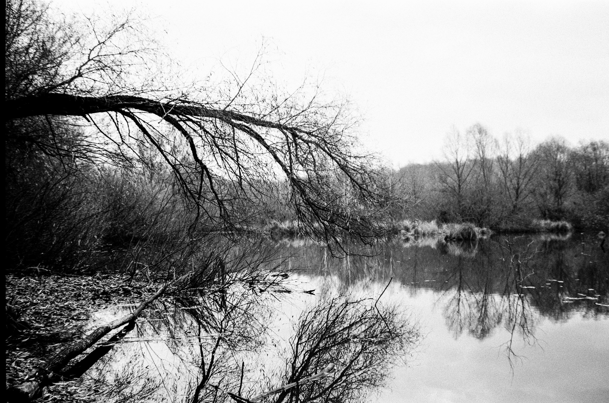 Nikon F80 — Voigtlander Ultron 28-105mm f2.8-3.8 / SFL T-42 ISO 400