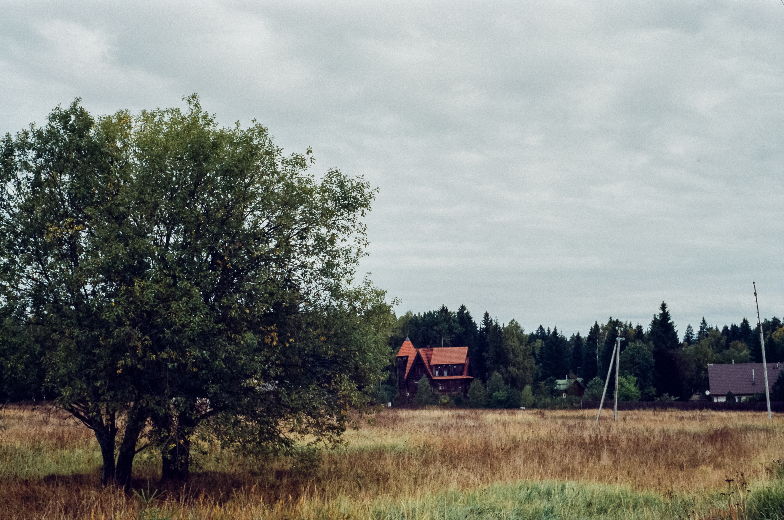 Kodak Retina IIIc — Retina Xenon C 50 mm f2.0 / Kodak Vision 3 250D