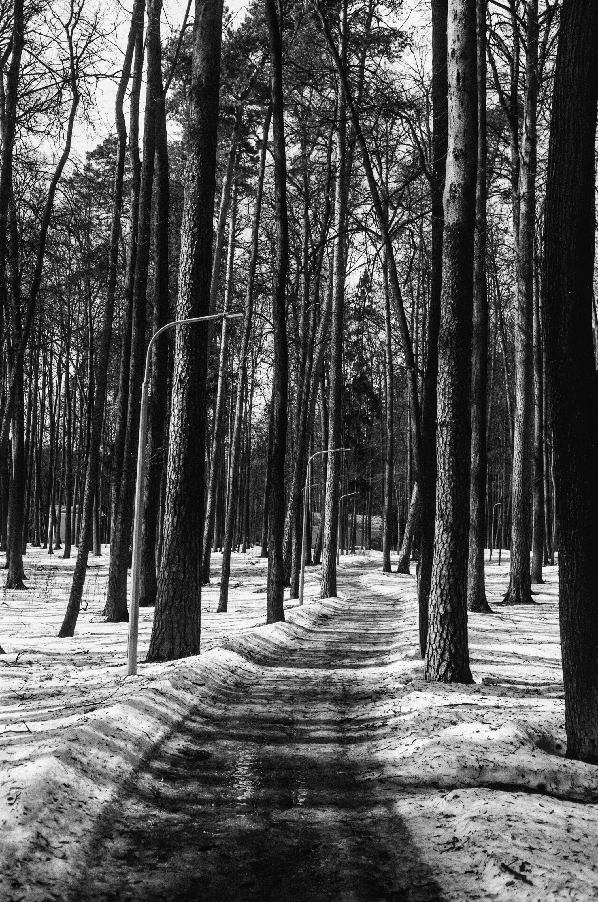 Minolta V2 / ТАСМА Тип-25