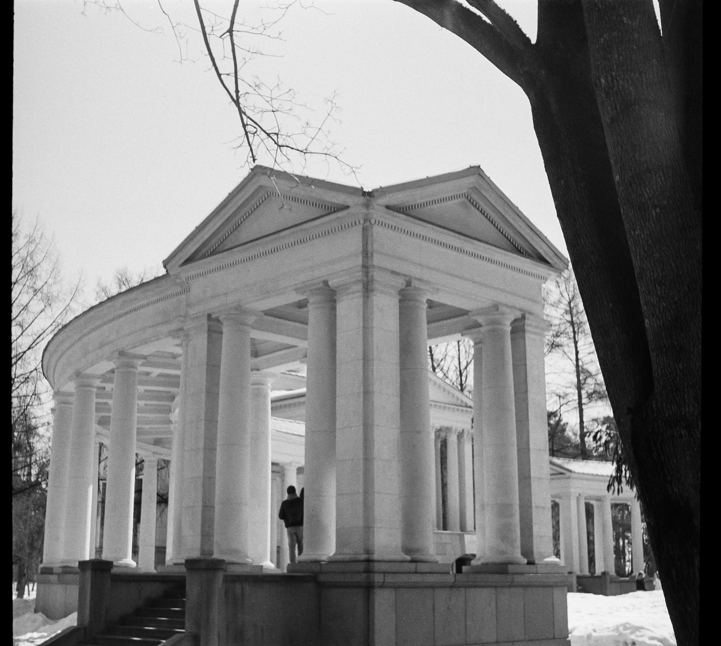 SFL UN 54 BW / Zeiss Ikon Tenax