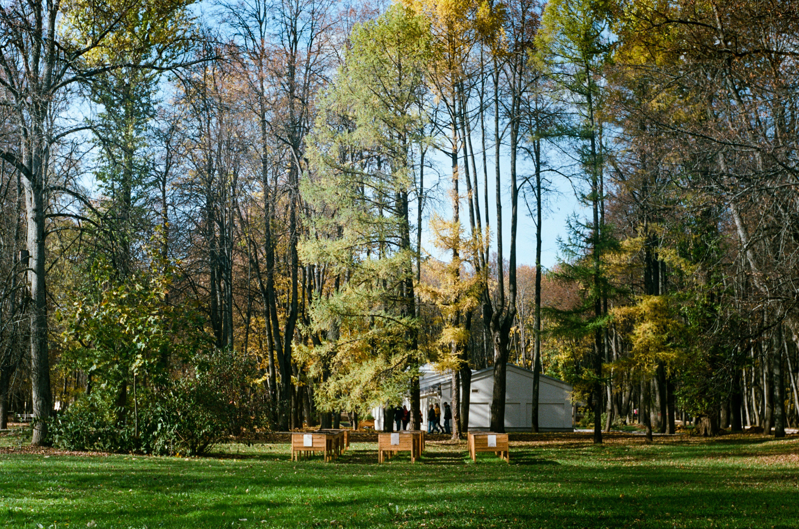 Enna Munchen Ennalyt 50mm f1.9 review