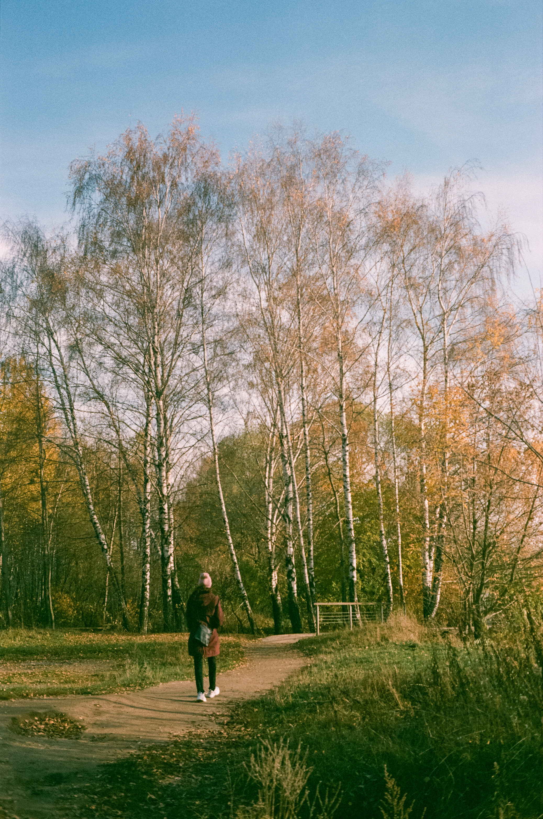 Konica Centuria Super ISO 400 примеры фотографий