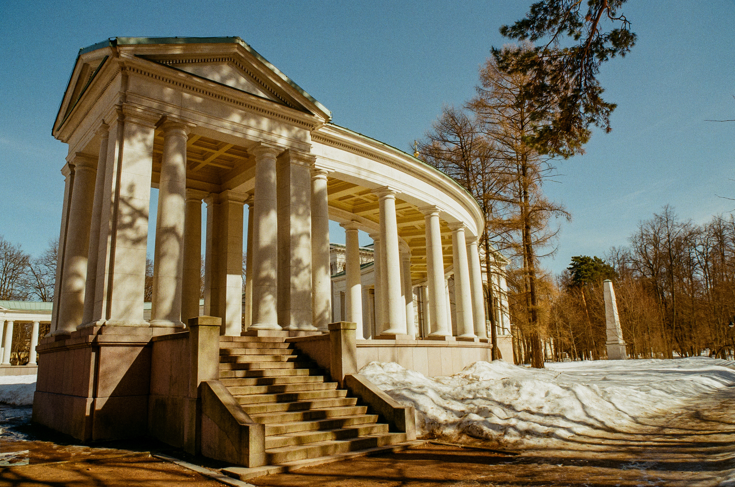 Kodak Ektar 100 / Contax N1