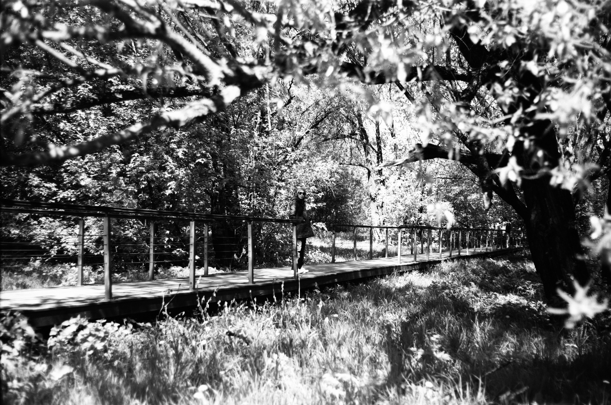 Kodak Retina Reflex S review