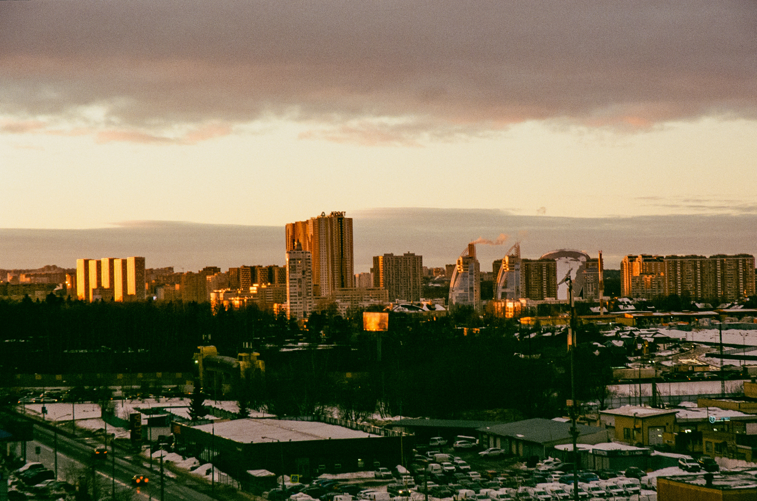 Kodak Ektar 100 / Contax N1