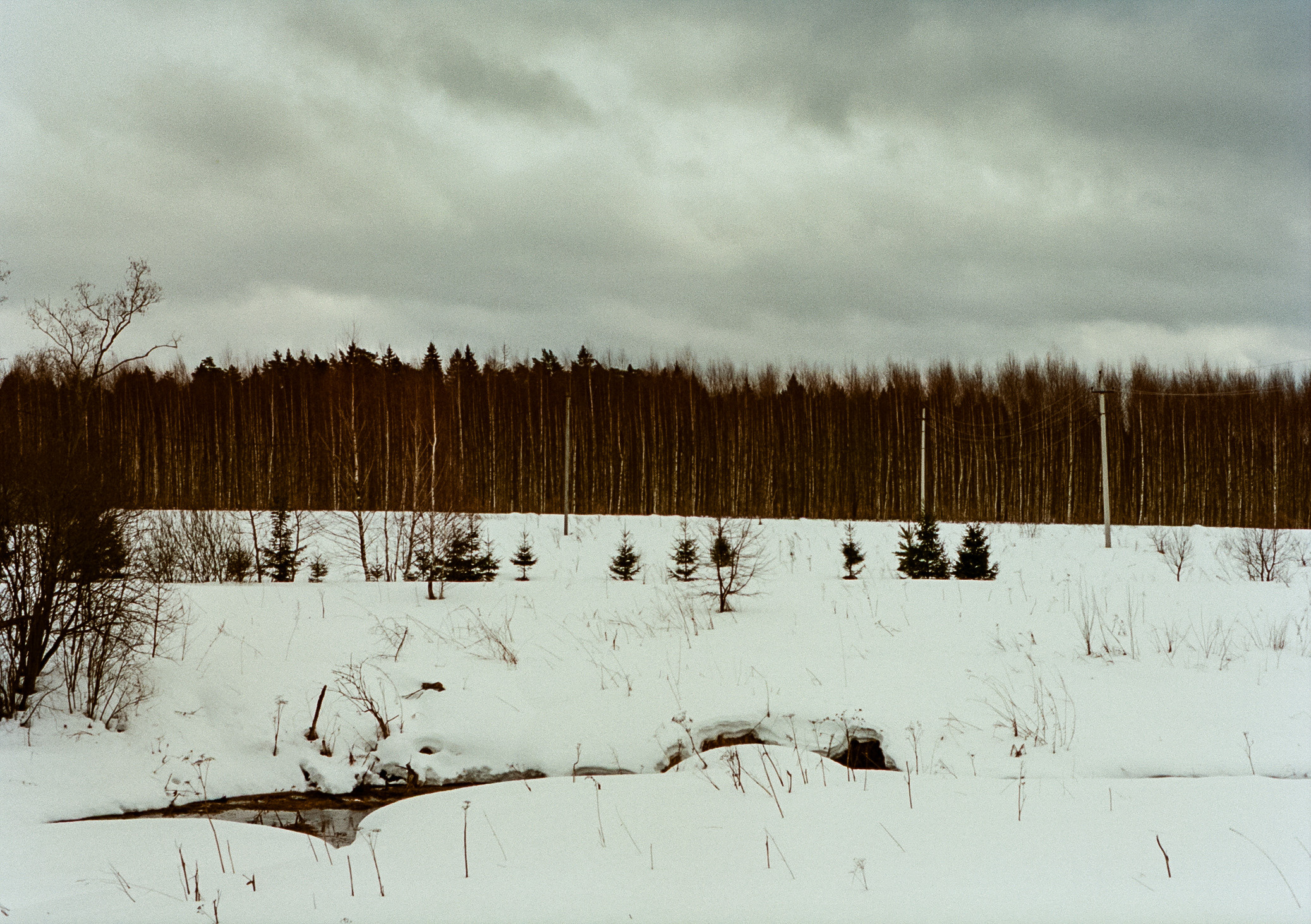 Kodak Aerocolor IV / Olympus Pen FT