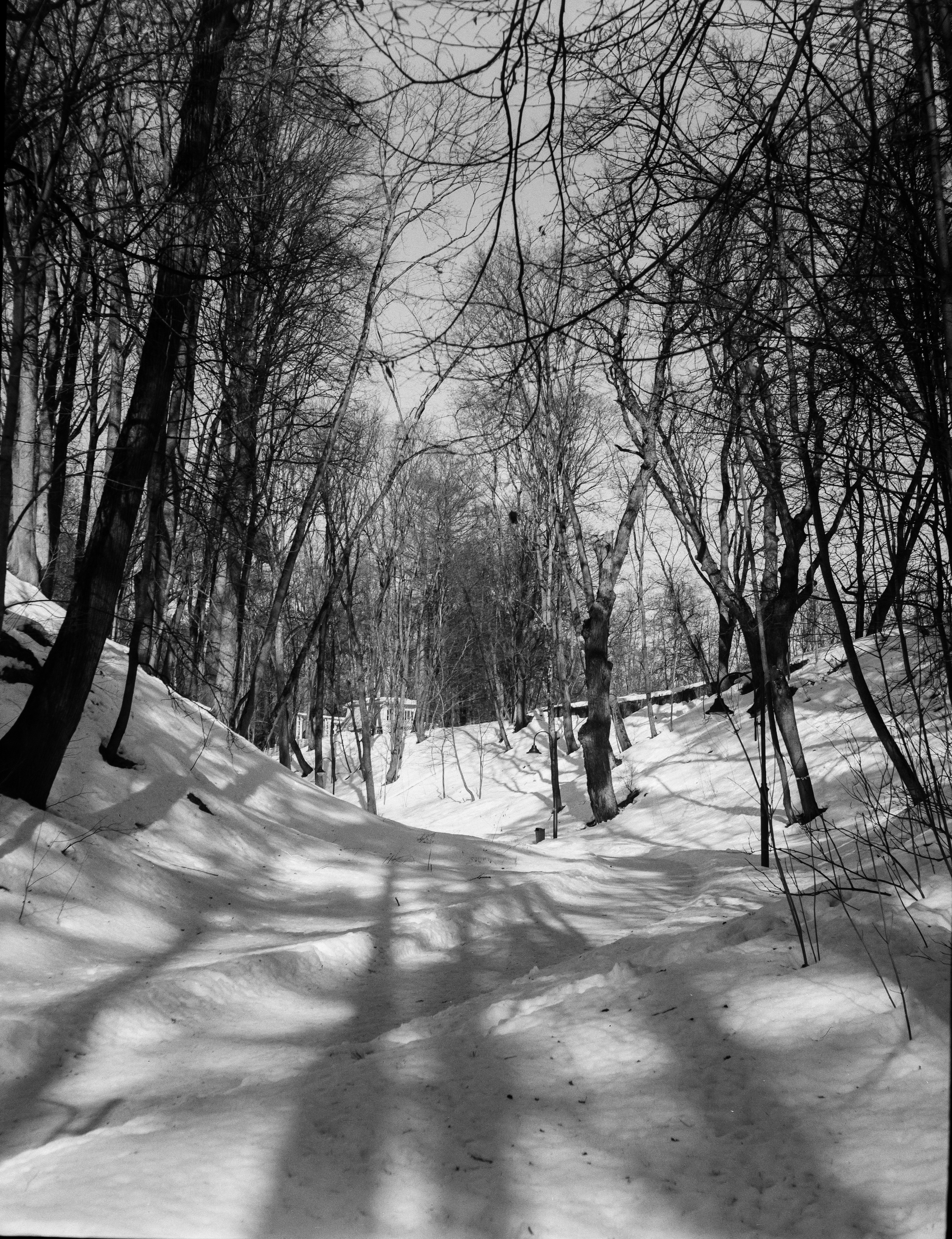 Ilford FP4 Plus ISO 125 / Zeiss Ikon Ikonta 521