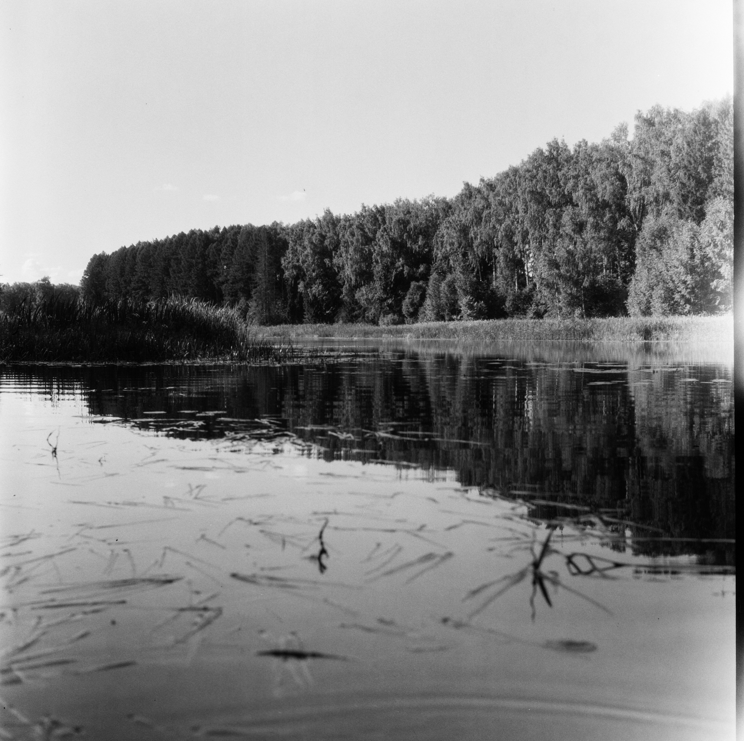 Yashica Mat 124