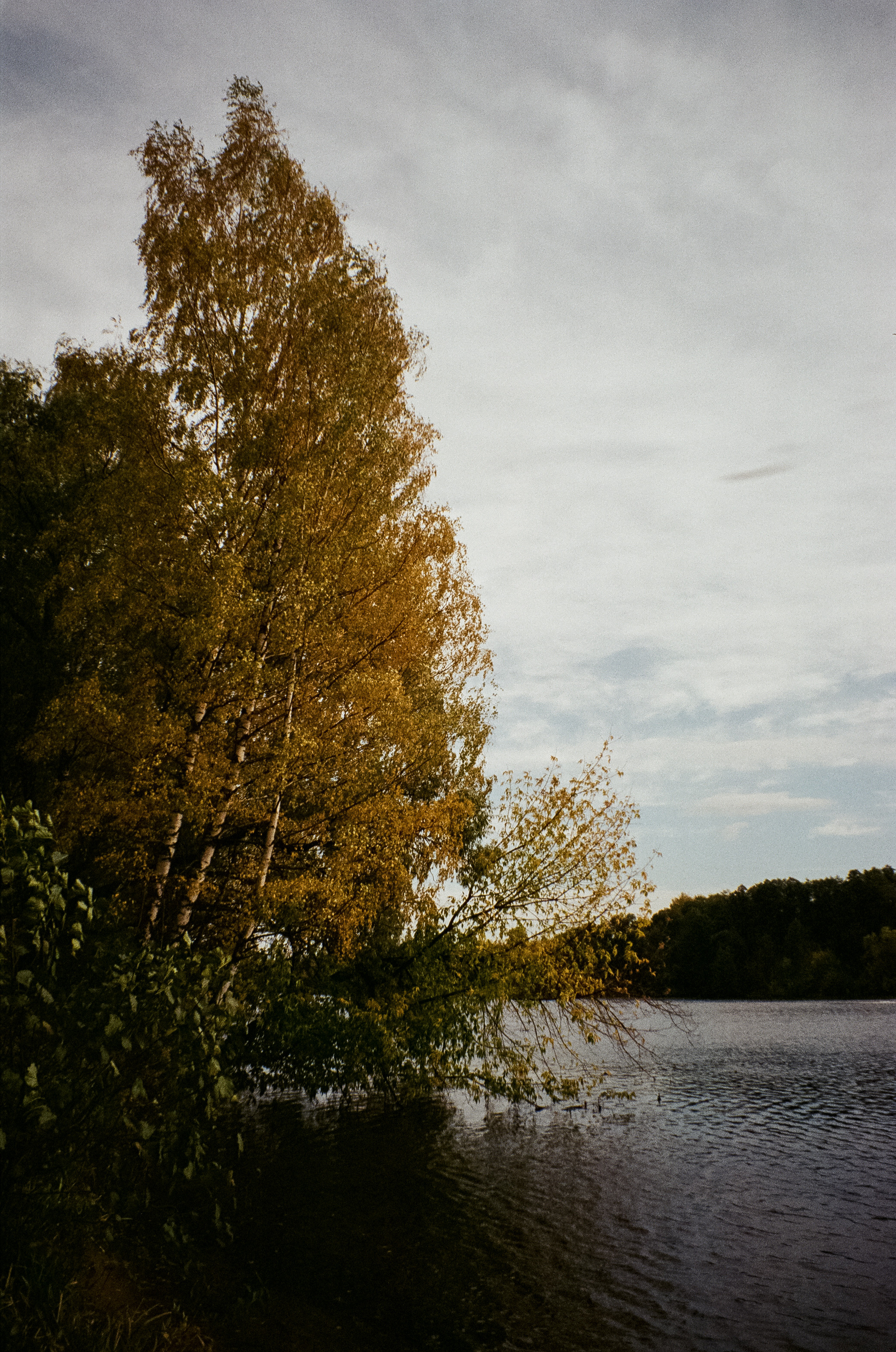 Осень на Kodak Gold 200