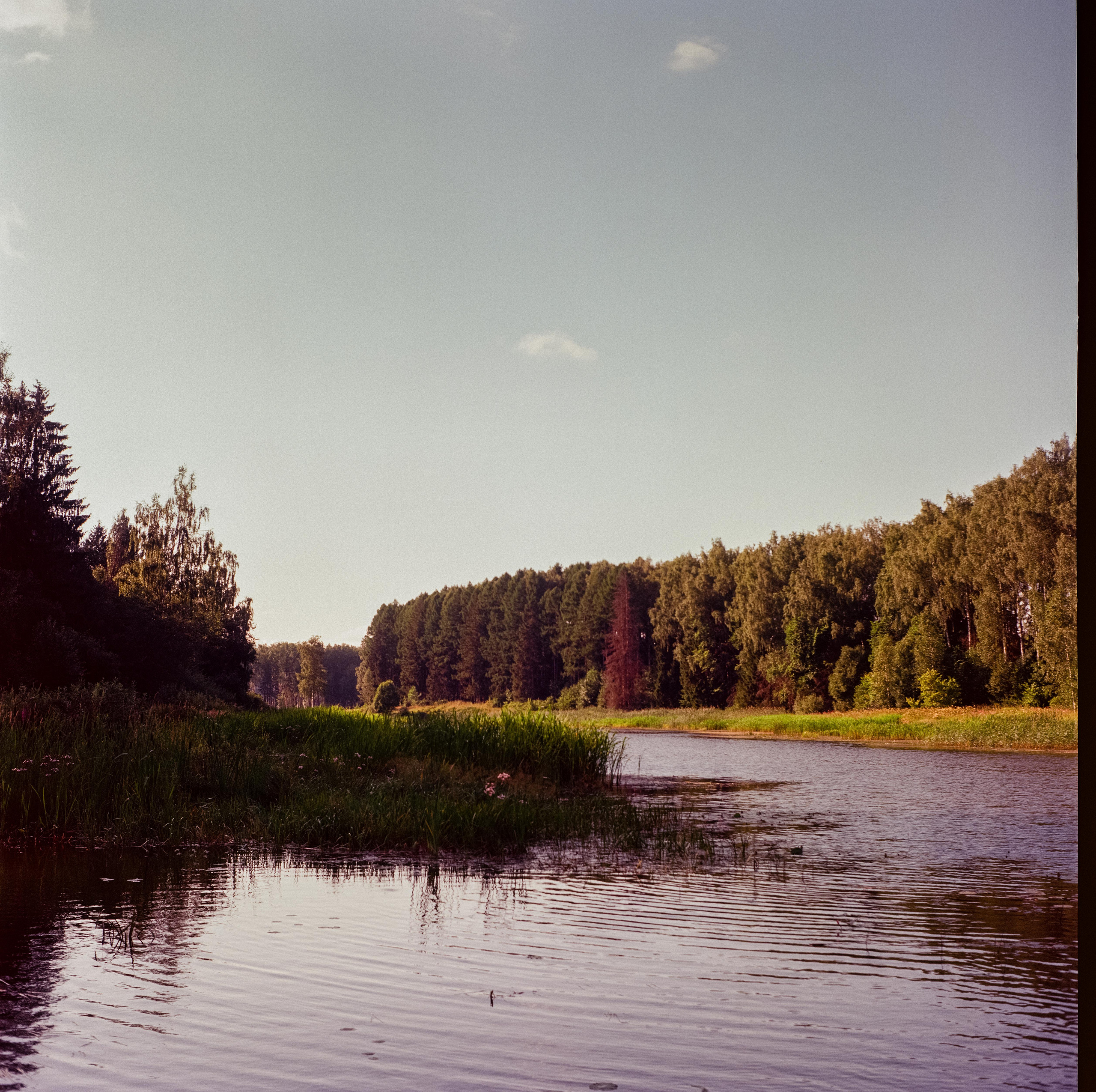 Yashica Mat-124 / Kodak Ektar 100