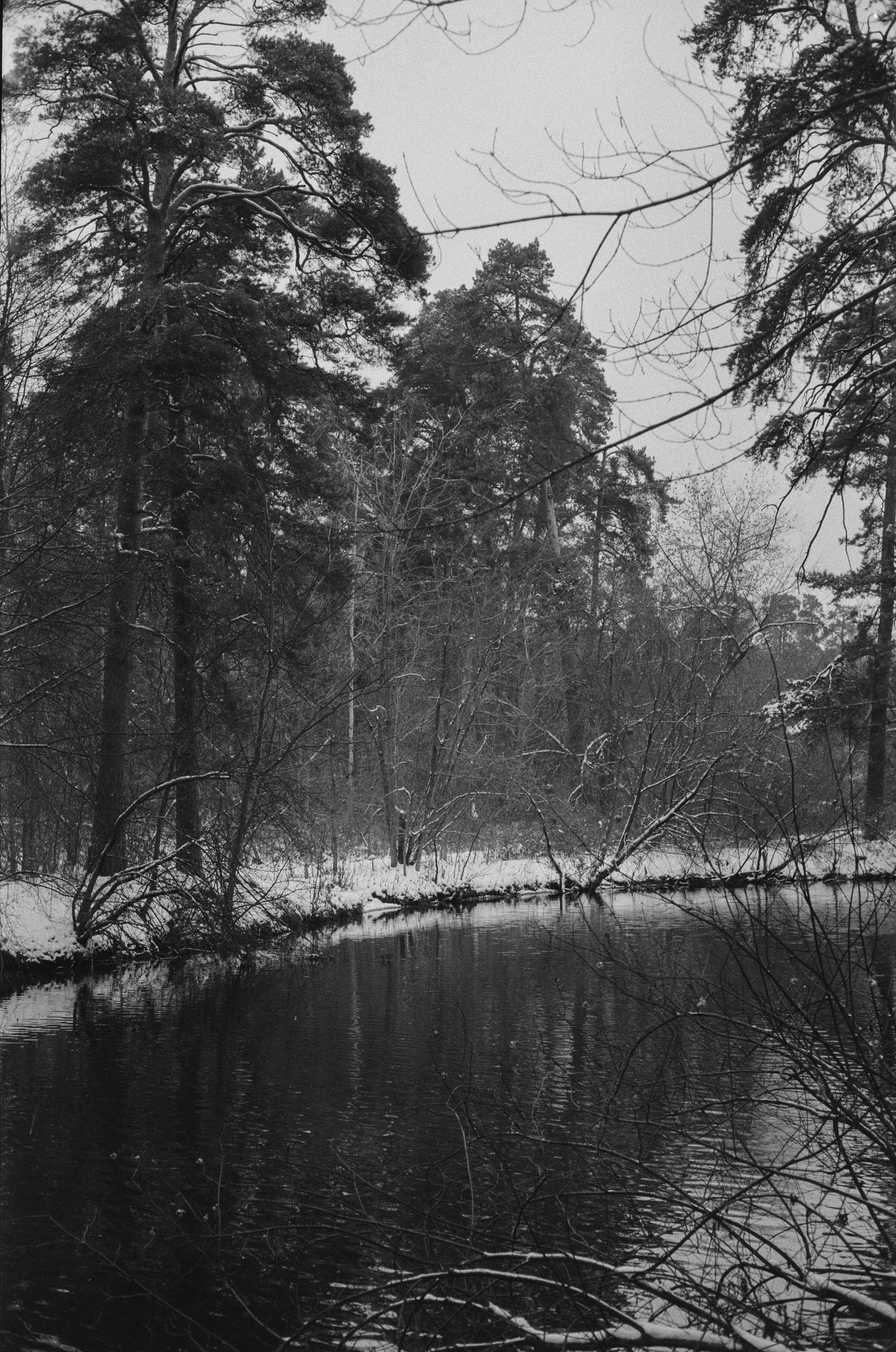 Konica III M / AgfaPhoto APX 400