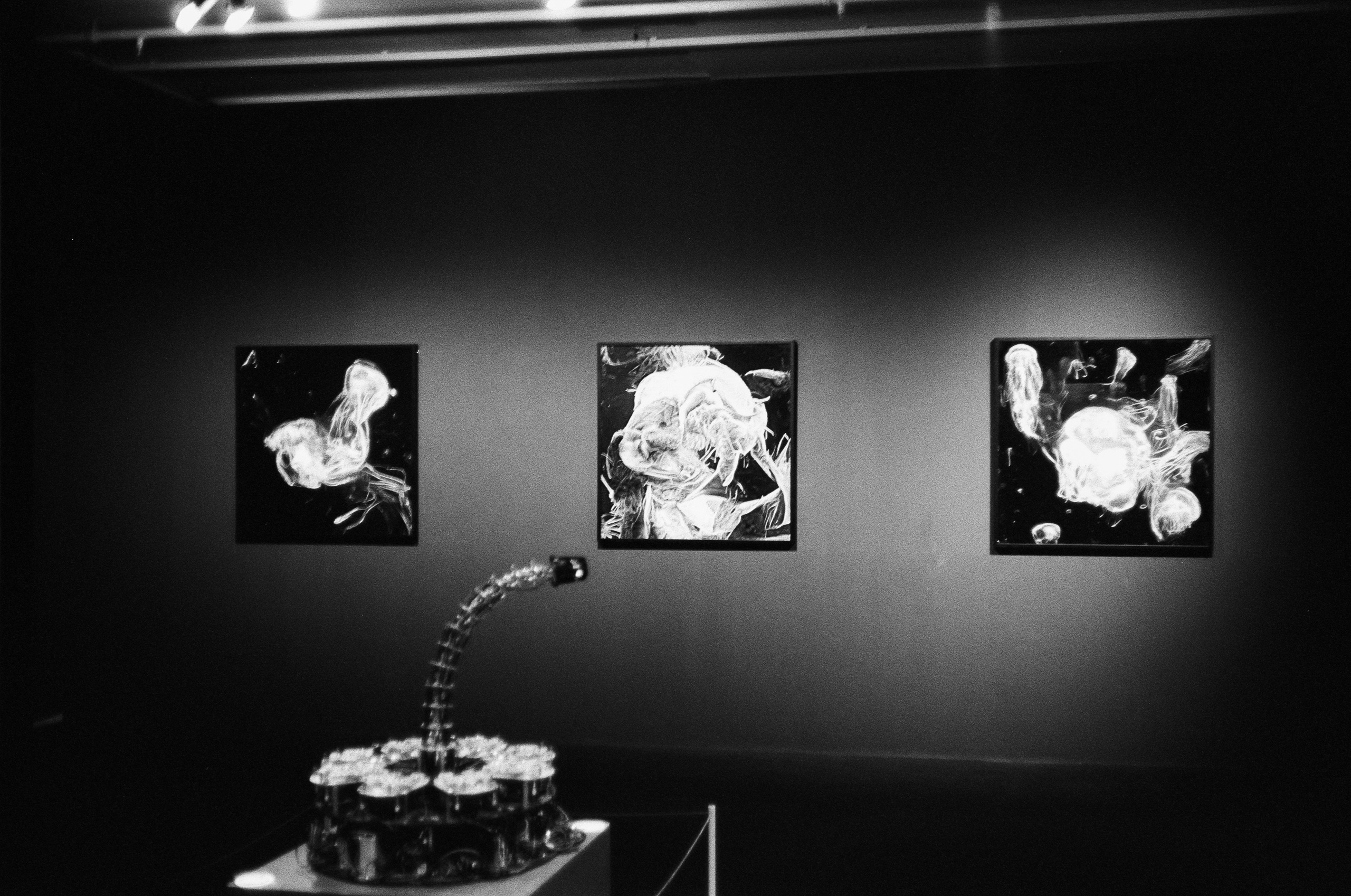 Мультимедиа Арт Музей на Canon Canonet QL17 G-III QL