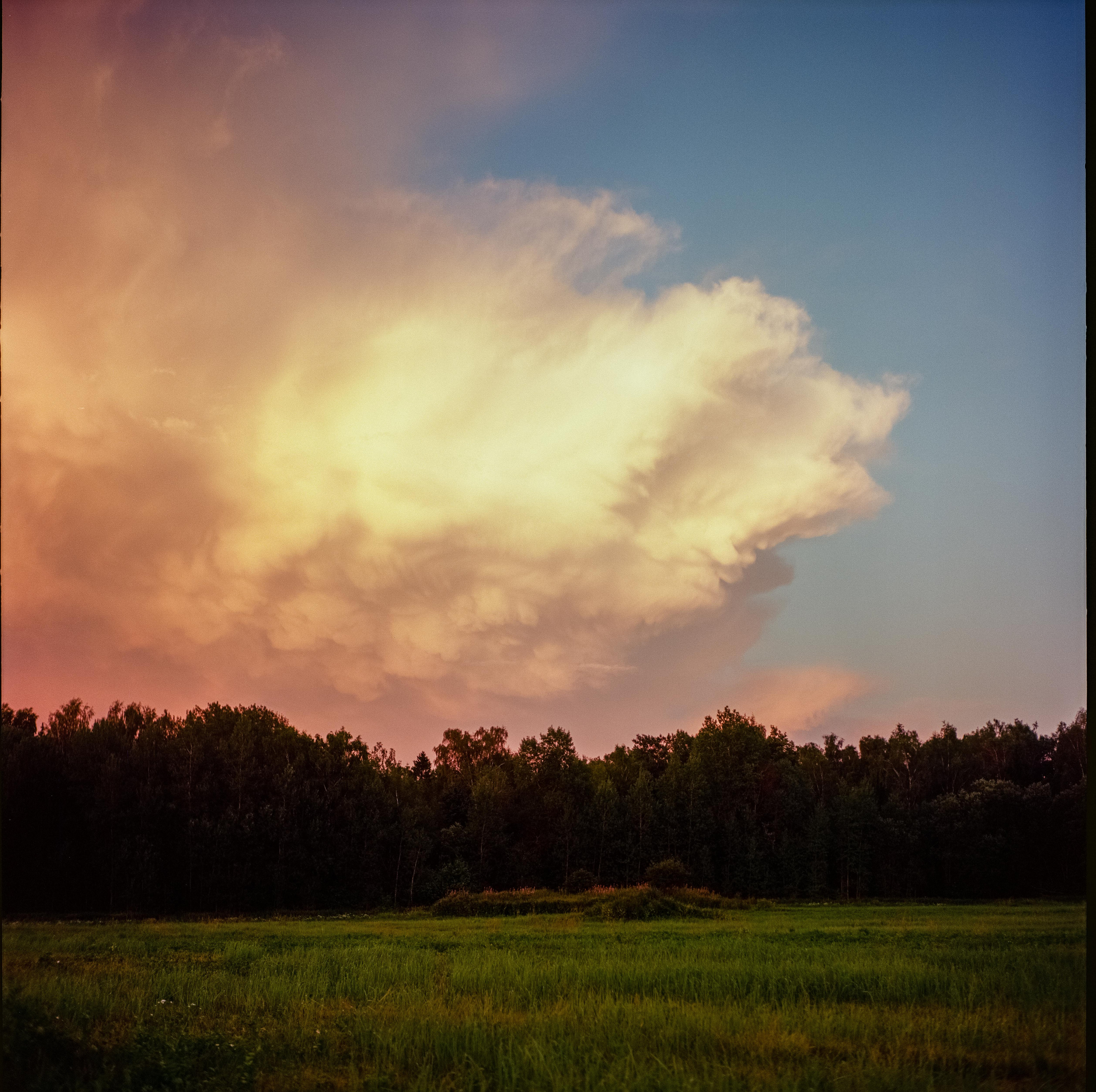 Yashica Mat-124 / Kodak Ektar 100