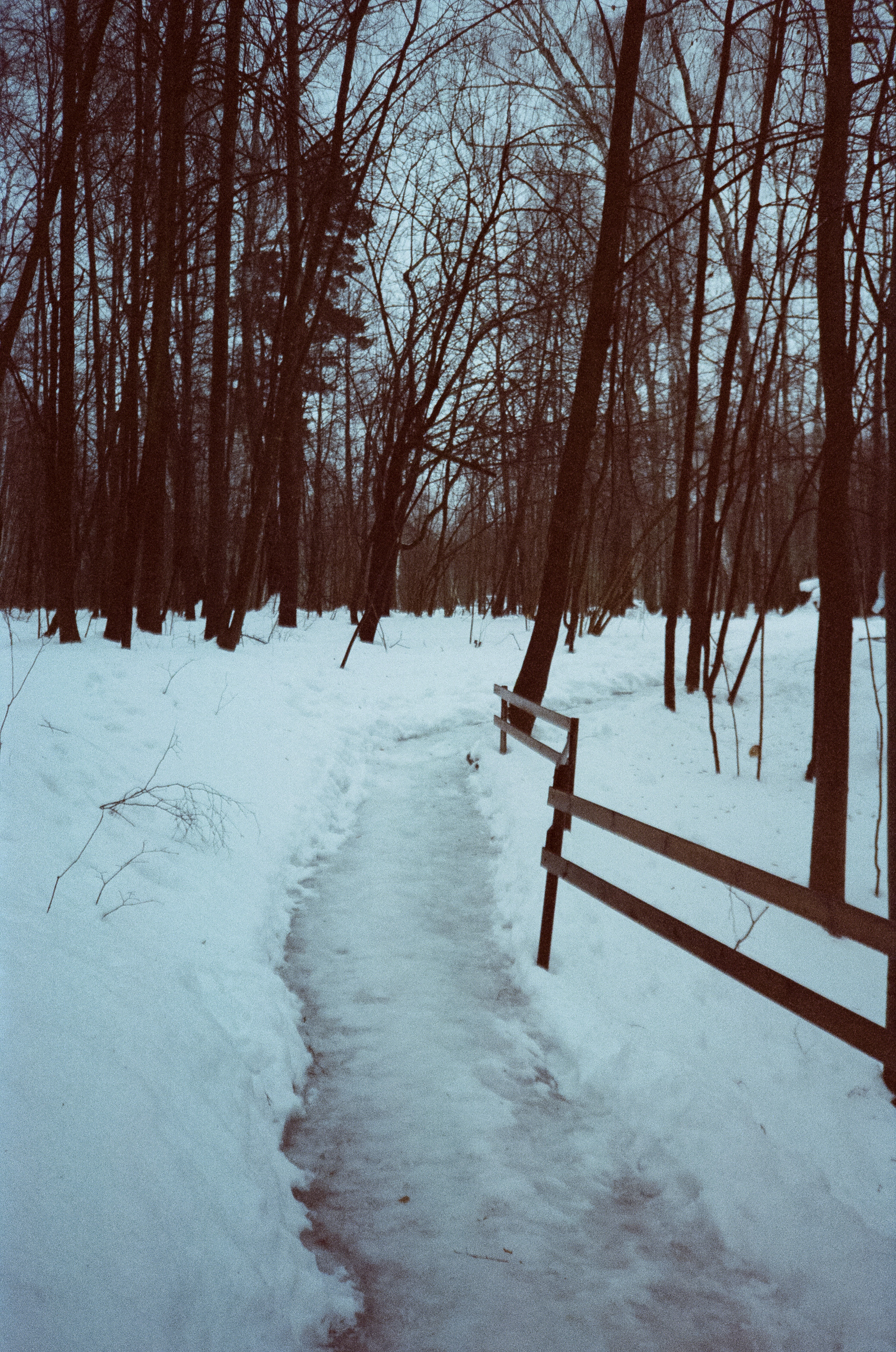 Примеры фотографий на Fuji DL-300 (Поленово)