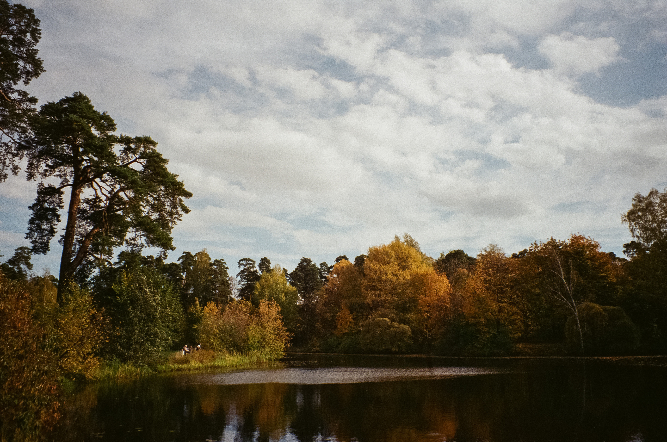 Осень на Kodak Gold 200