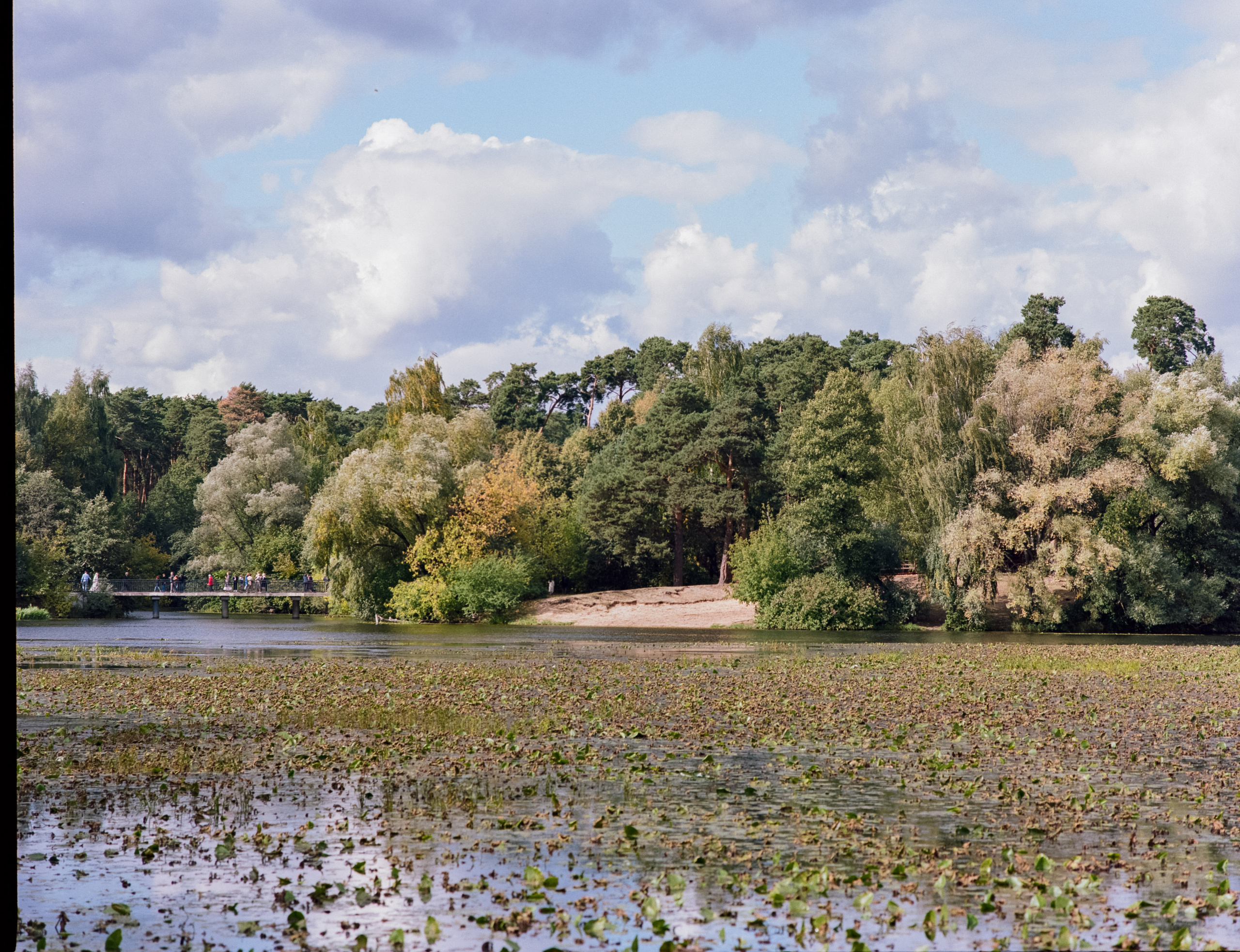 Zenza Bronica ETR — Zenzanon 150 f3.5 / Kodak Portra 160