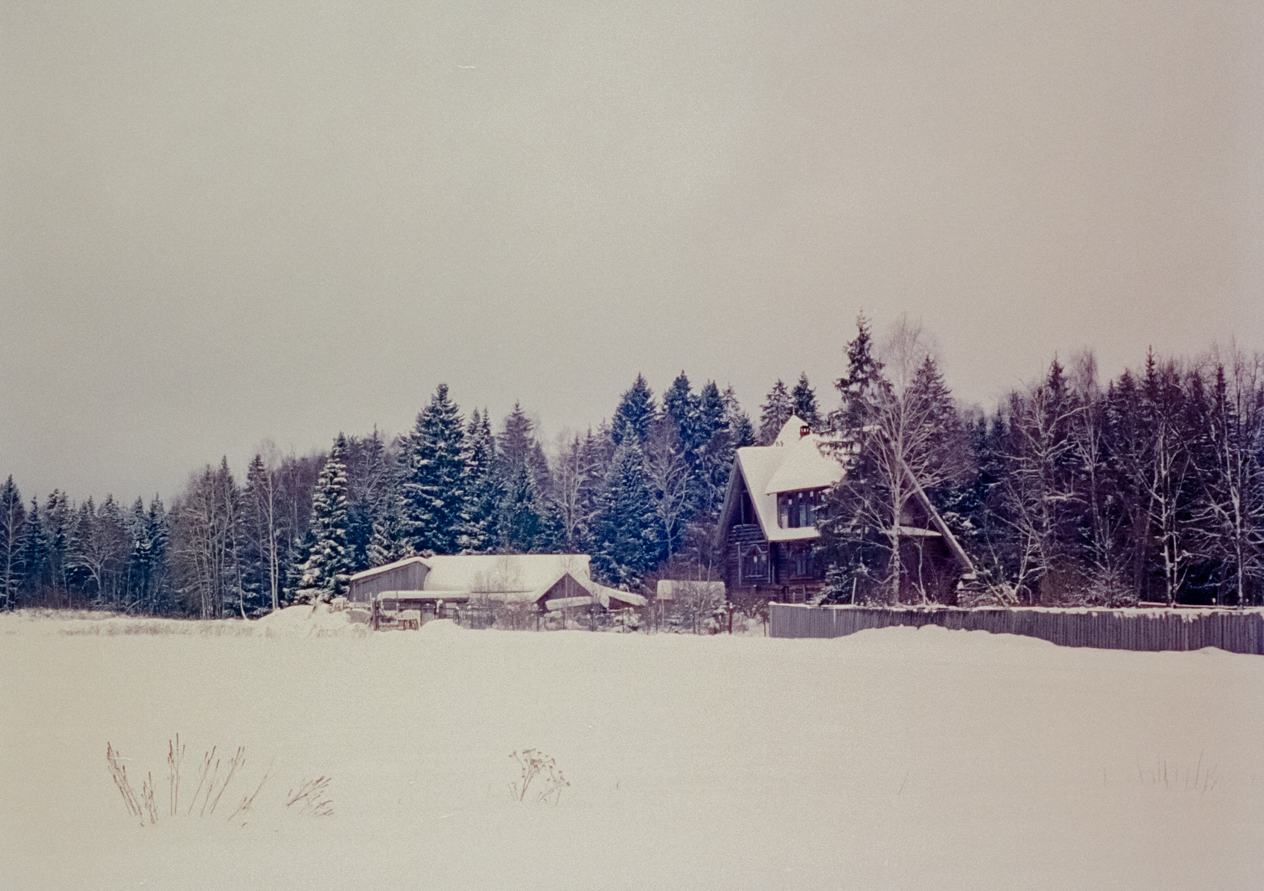 Olympus Pen EED / Kodak Vision 3 500T