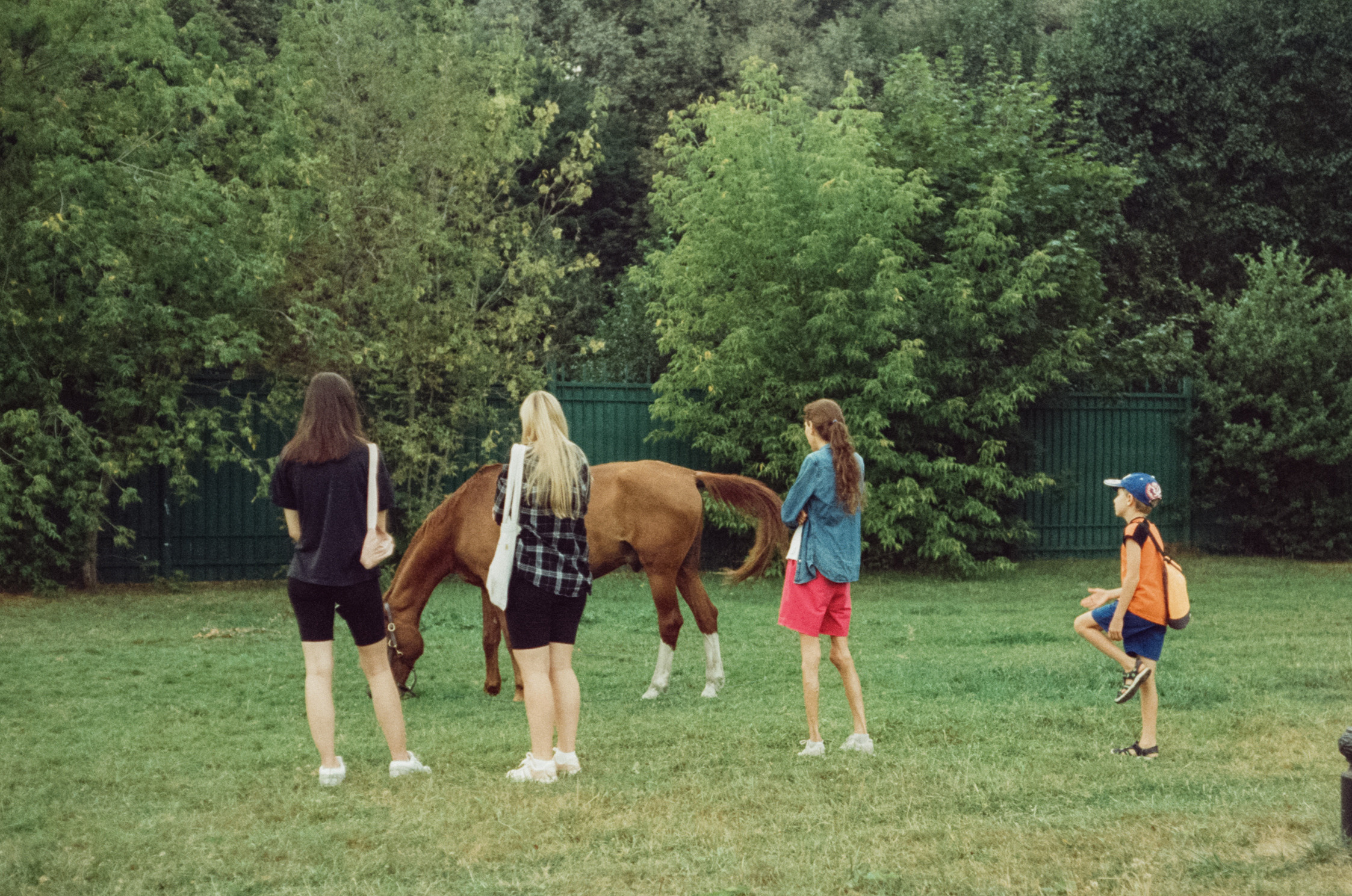 Canon Canonet QL17 G-III QL / Kodak Vision 3 250D