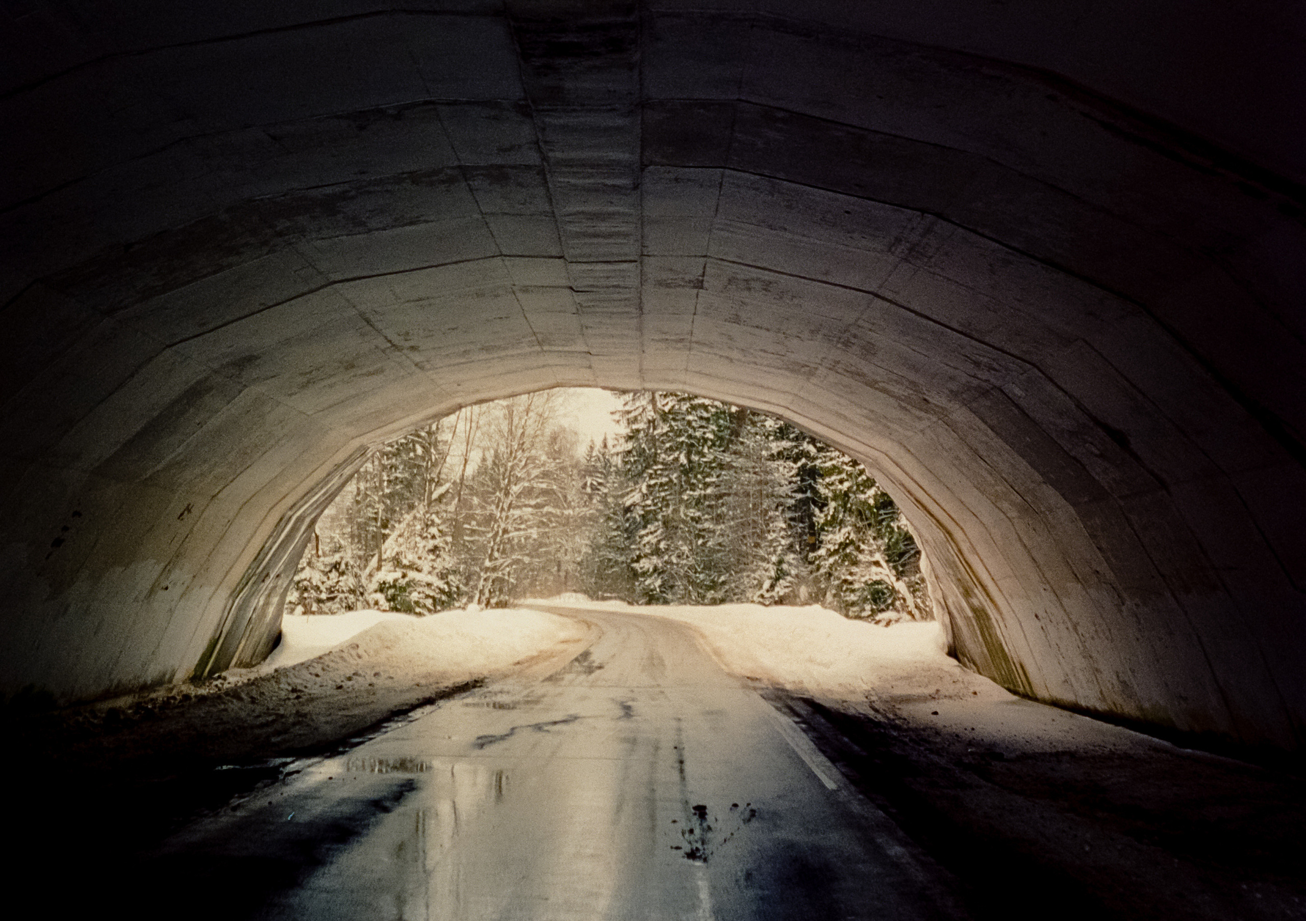 Olympus Pen EED / Kodak Vision 3 500T