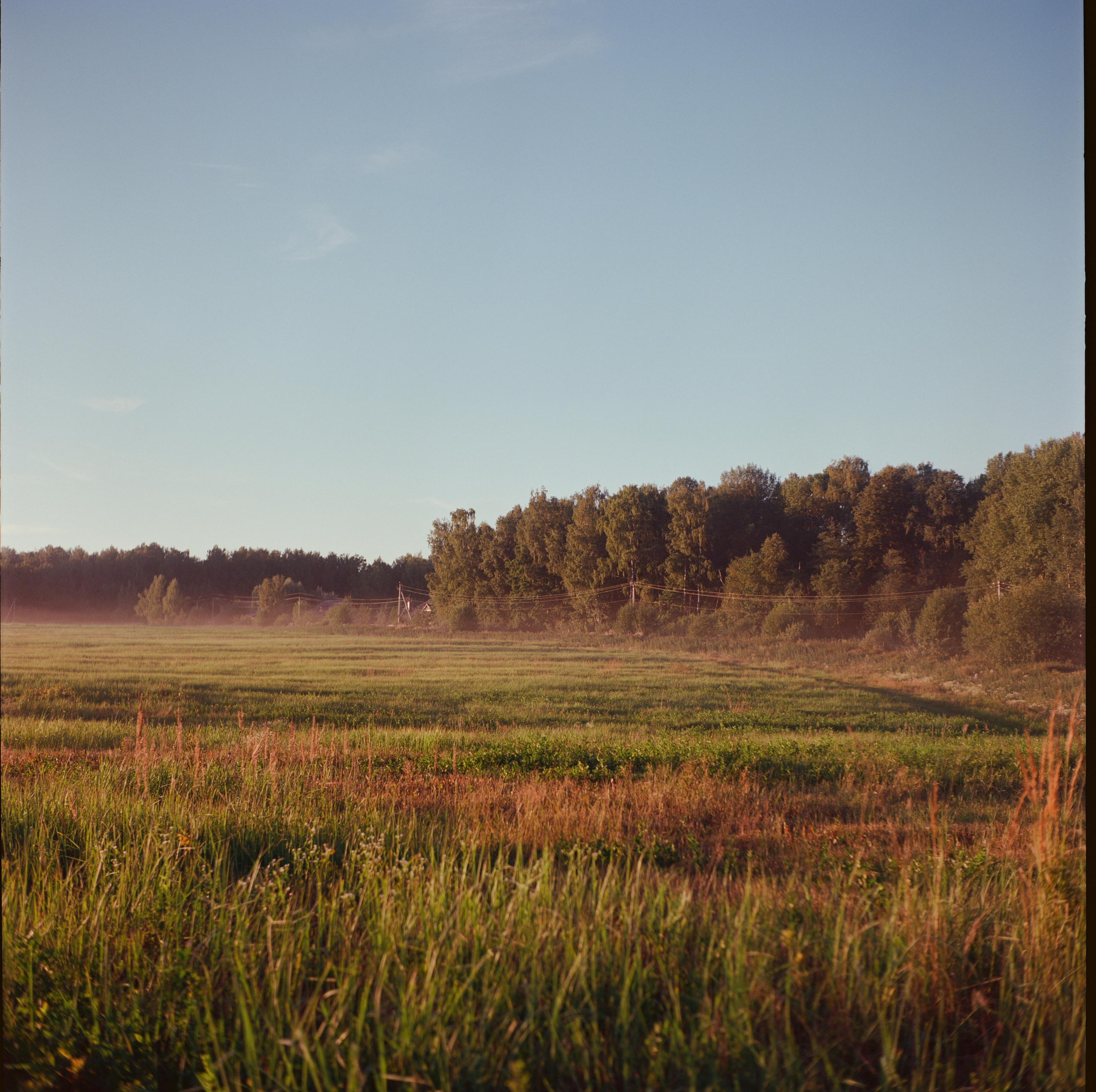 Закат на Kodak Ektar 100 и Yashica Mat-124