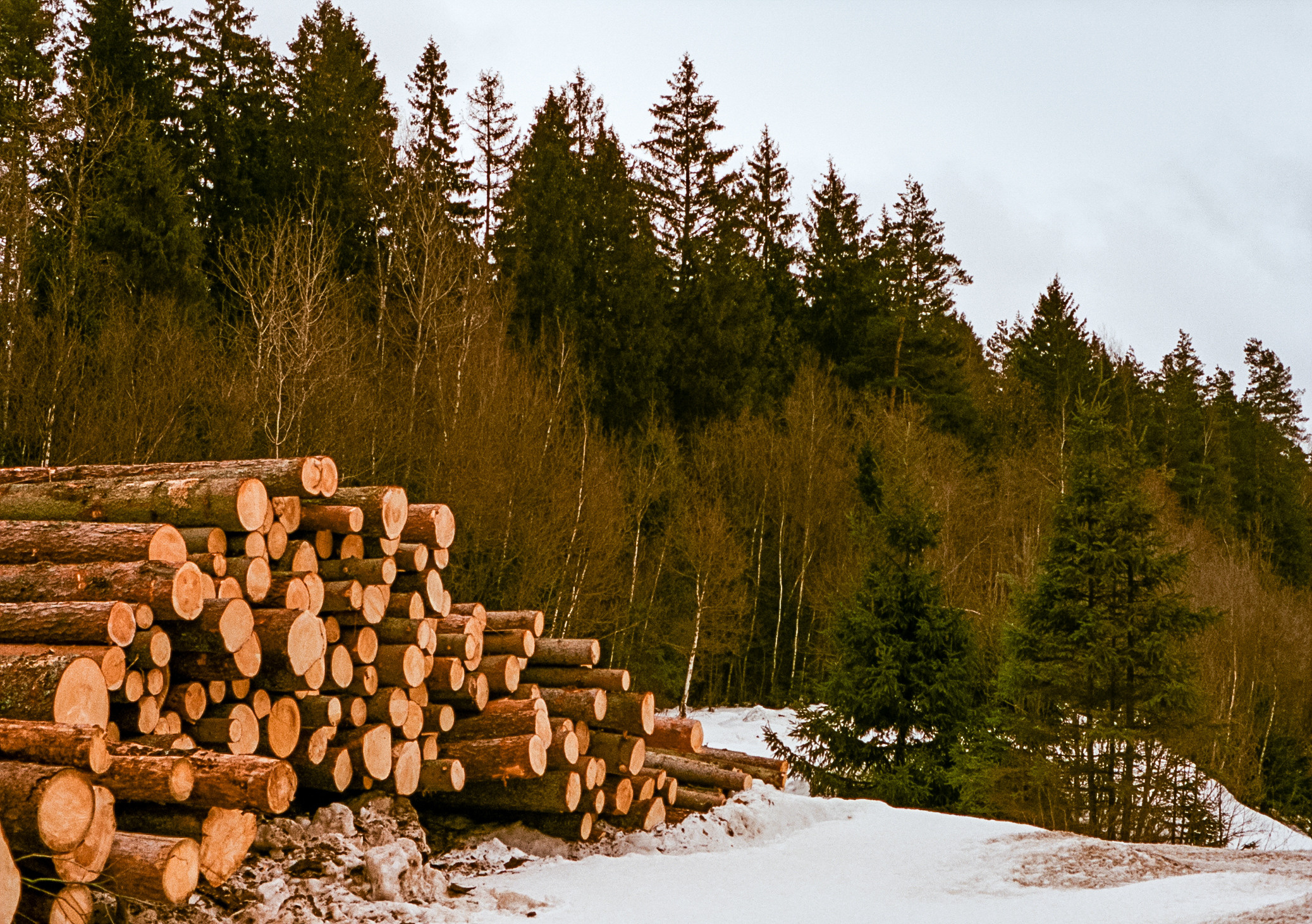 Kodak Aerocolor IV / Olympus Pen FT