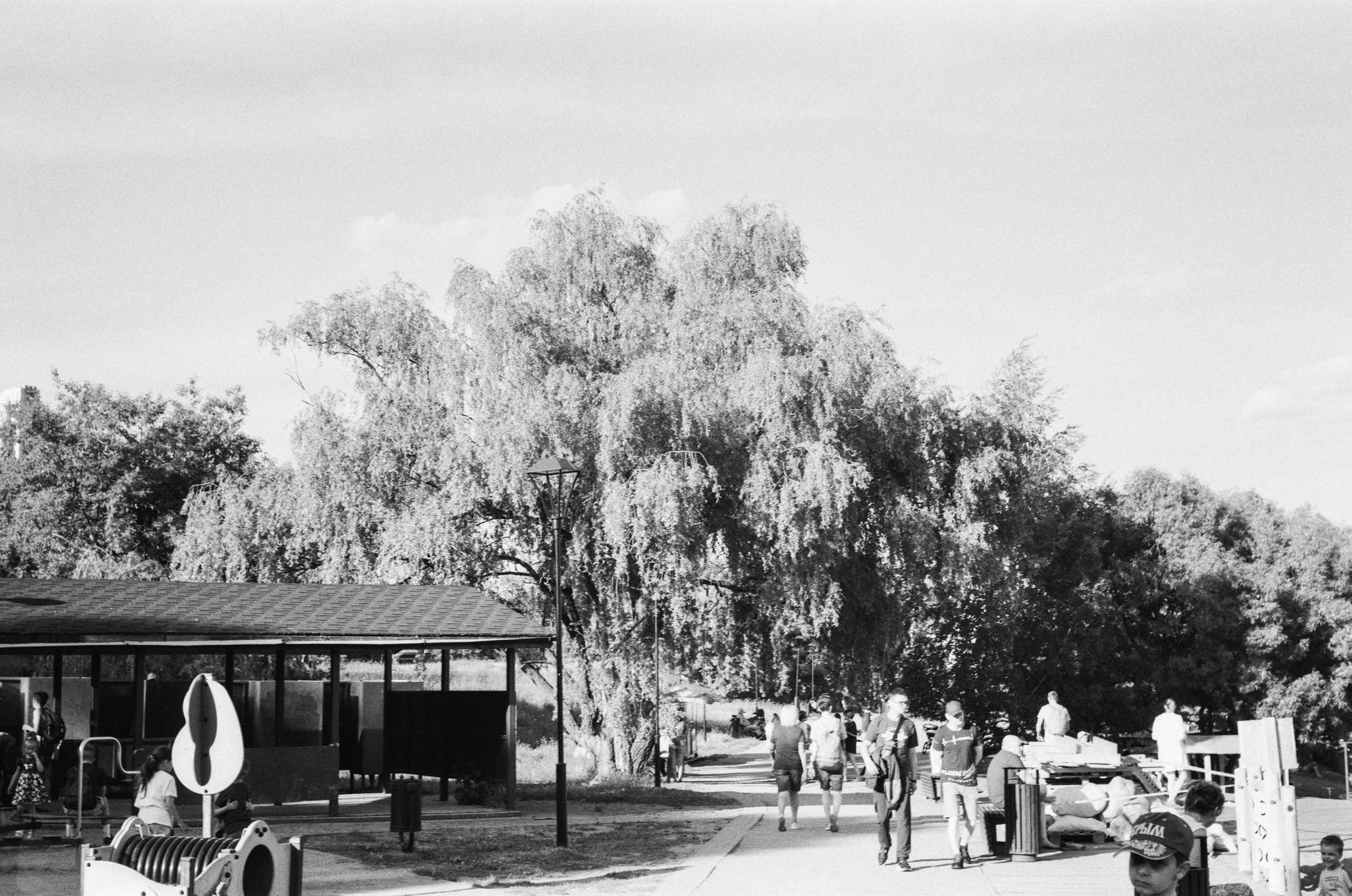 Welta Weltini - Schneider Xenon