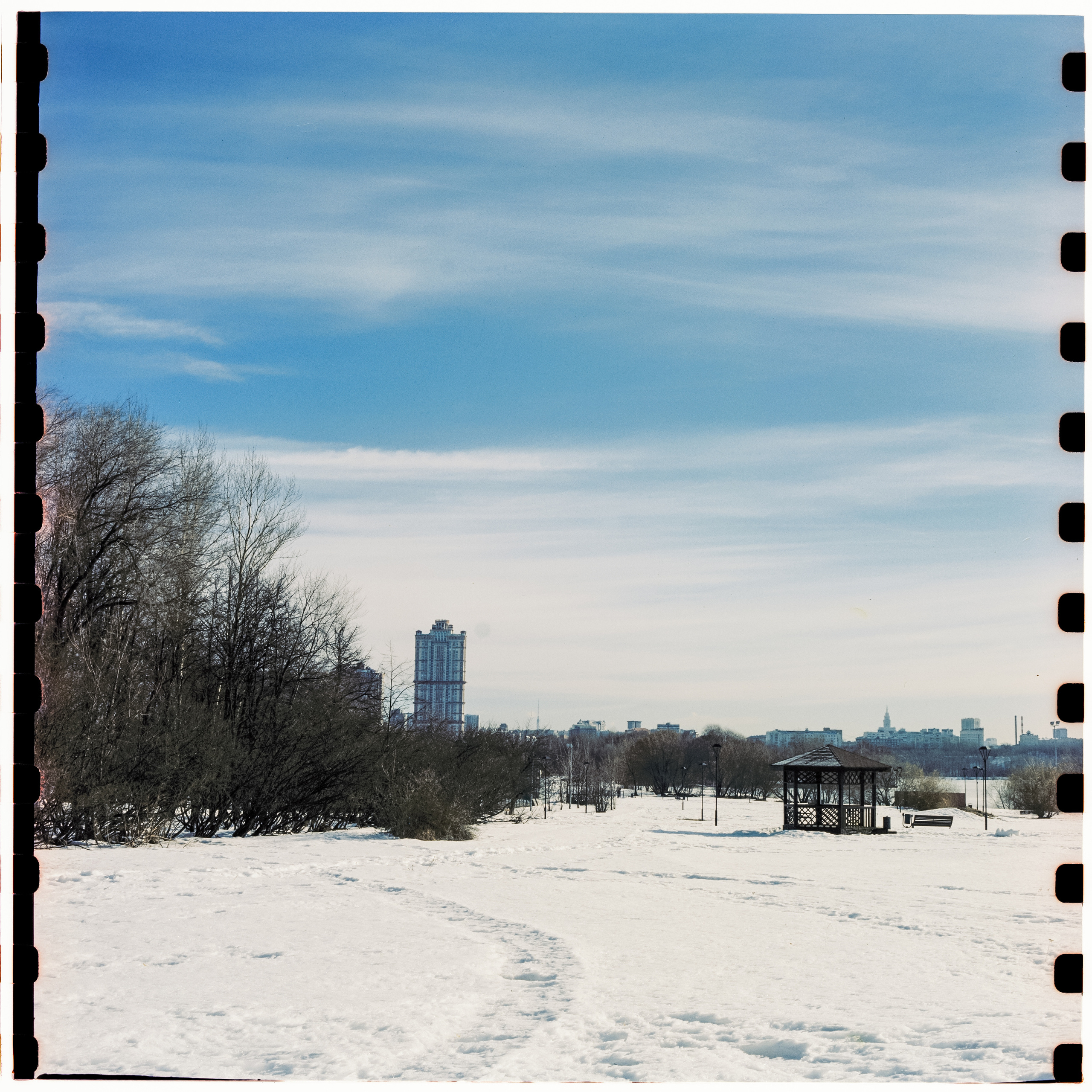 Kodak Vision 3 250D / Yashica Mat 124