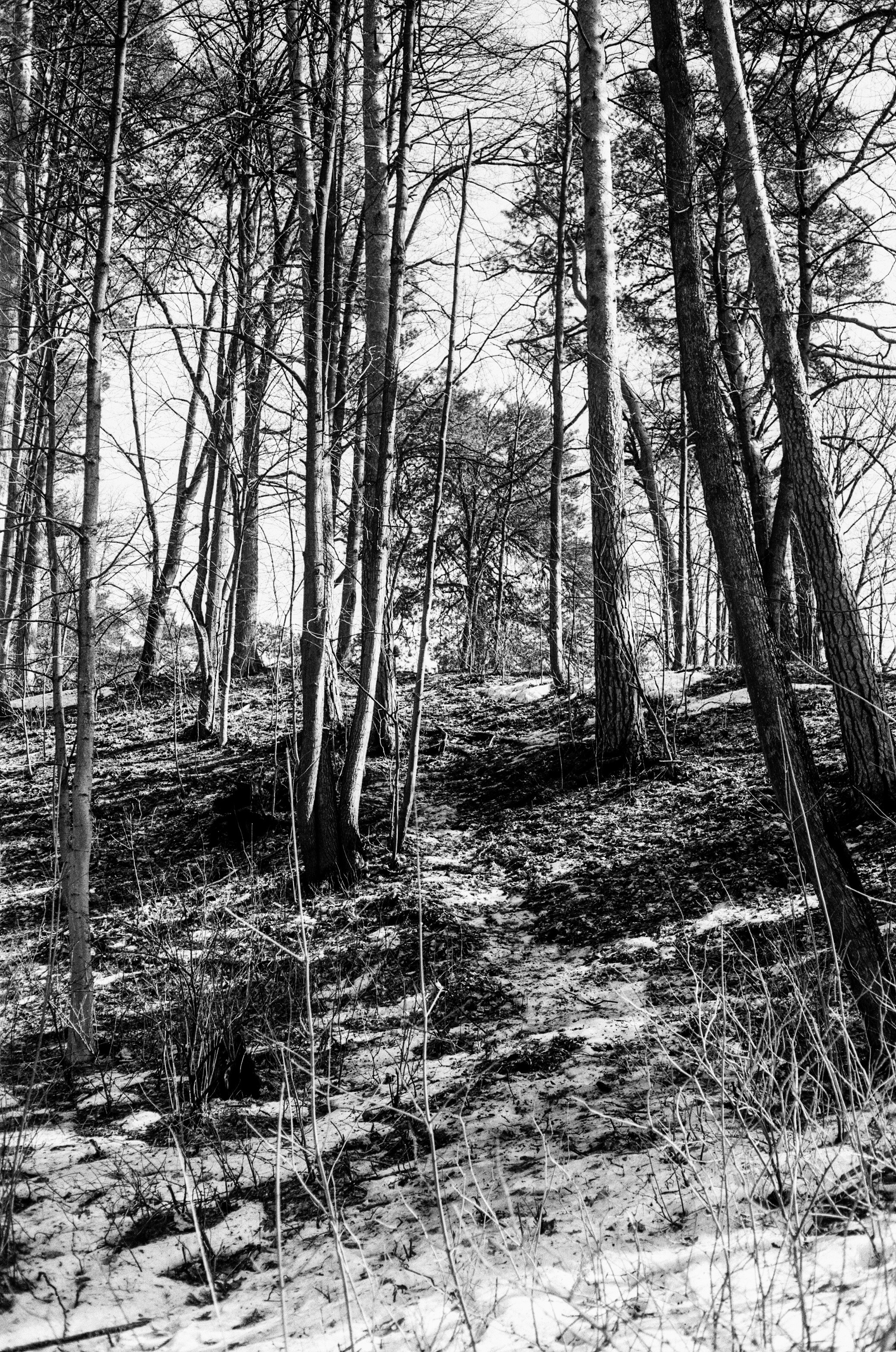 Minolta V2 / ТАСМА Тип-25