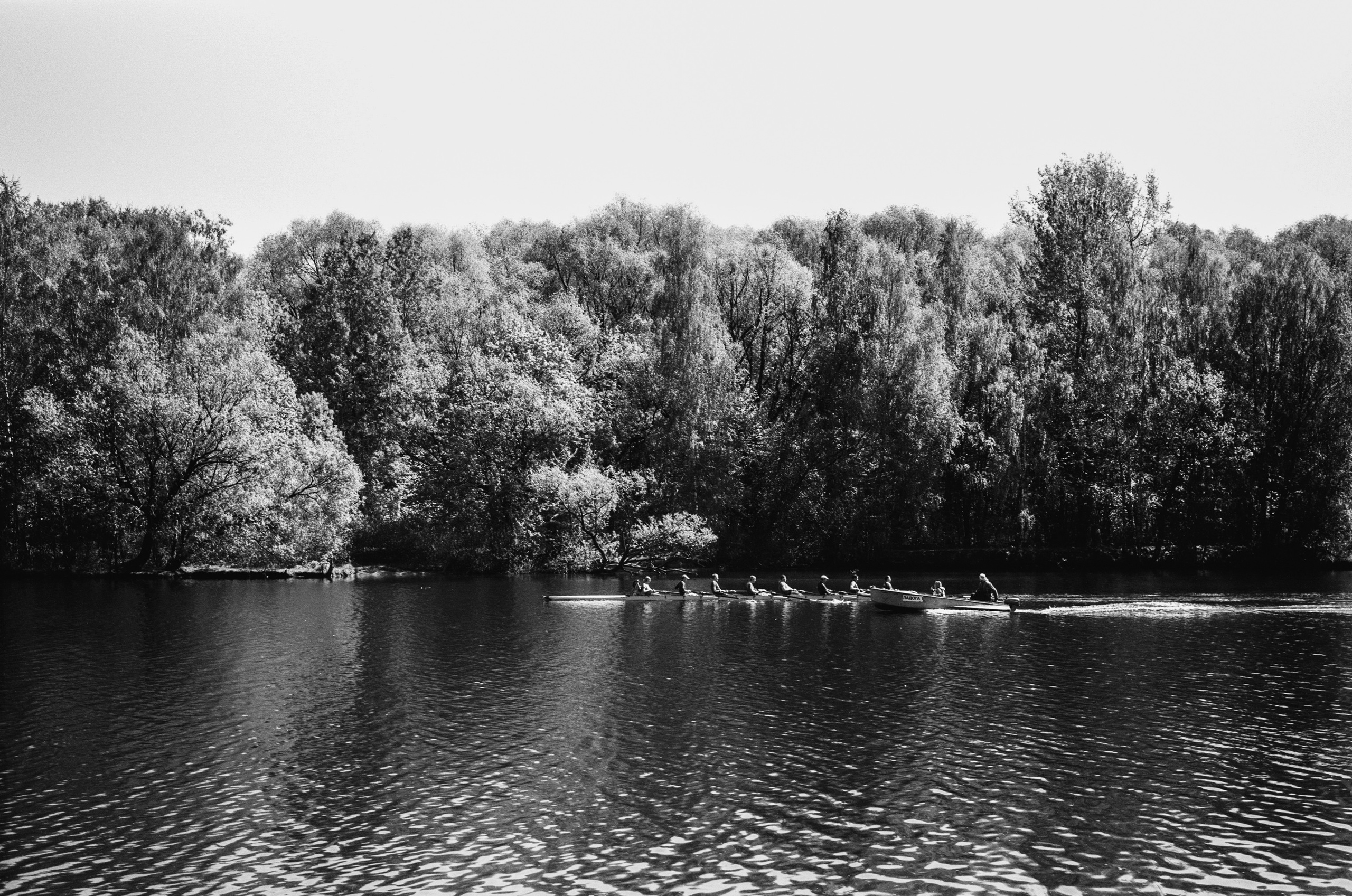 Kodak Retina Reflex S пример фото