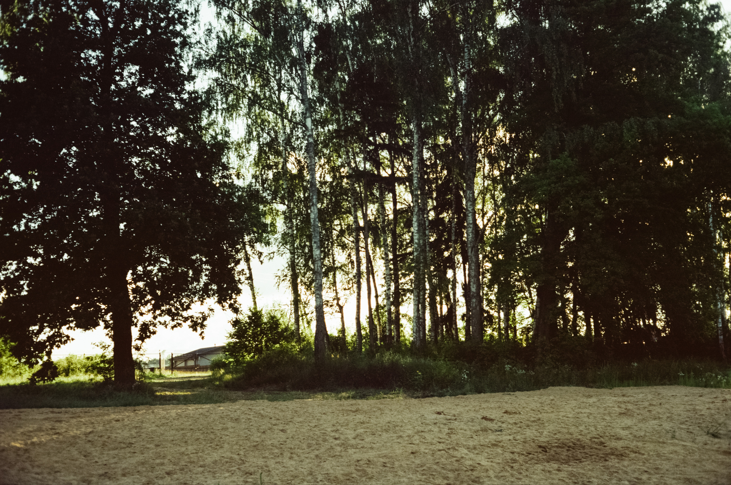 Canon Canonet QL17 G-III QL