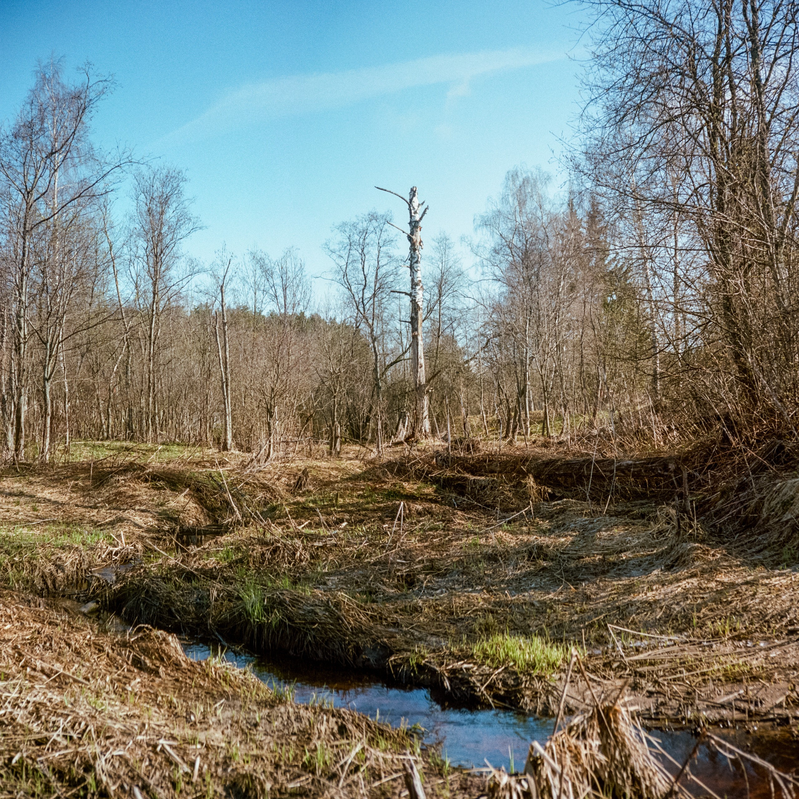 Kodak Portra 160 / Walz Envoy 35