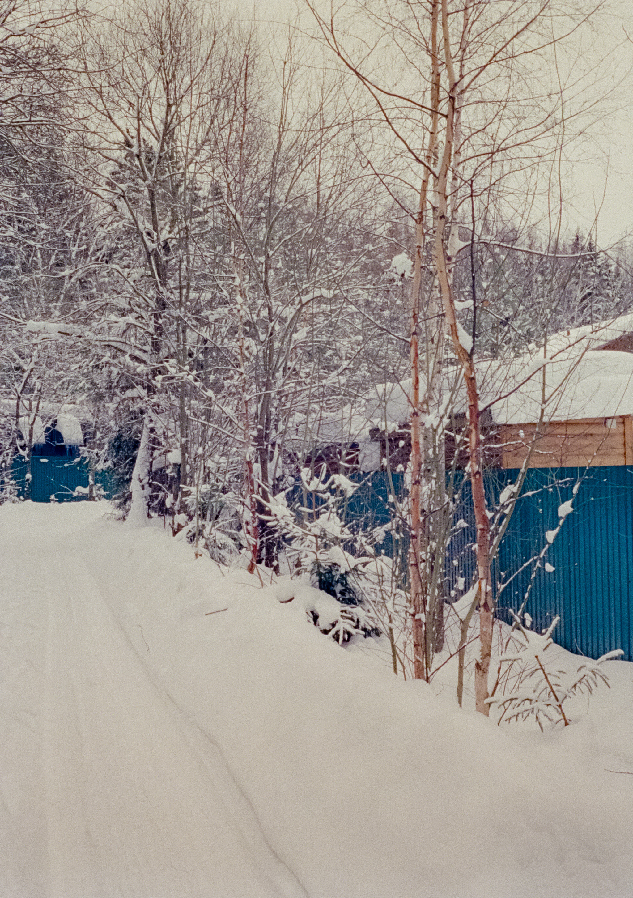 Olympus Pen EED / Kodak Vision 3 500T