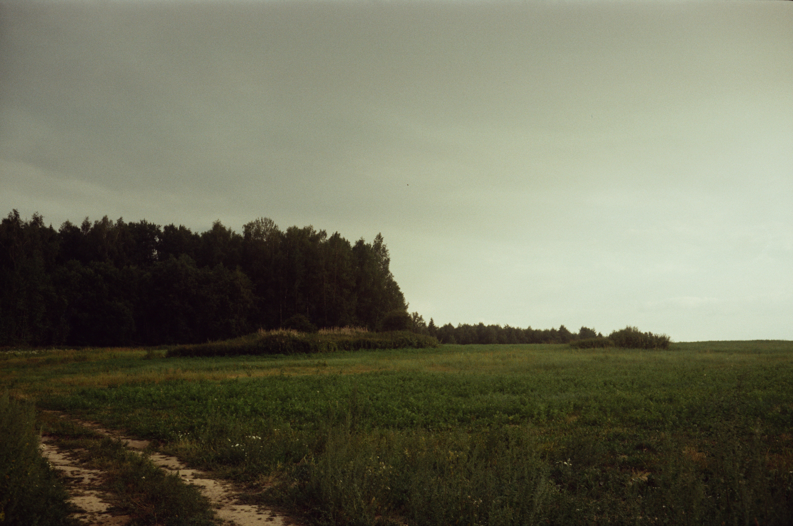 Canon Canonet QL17 G-III QL