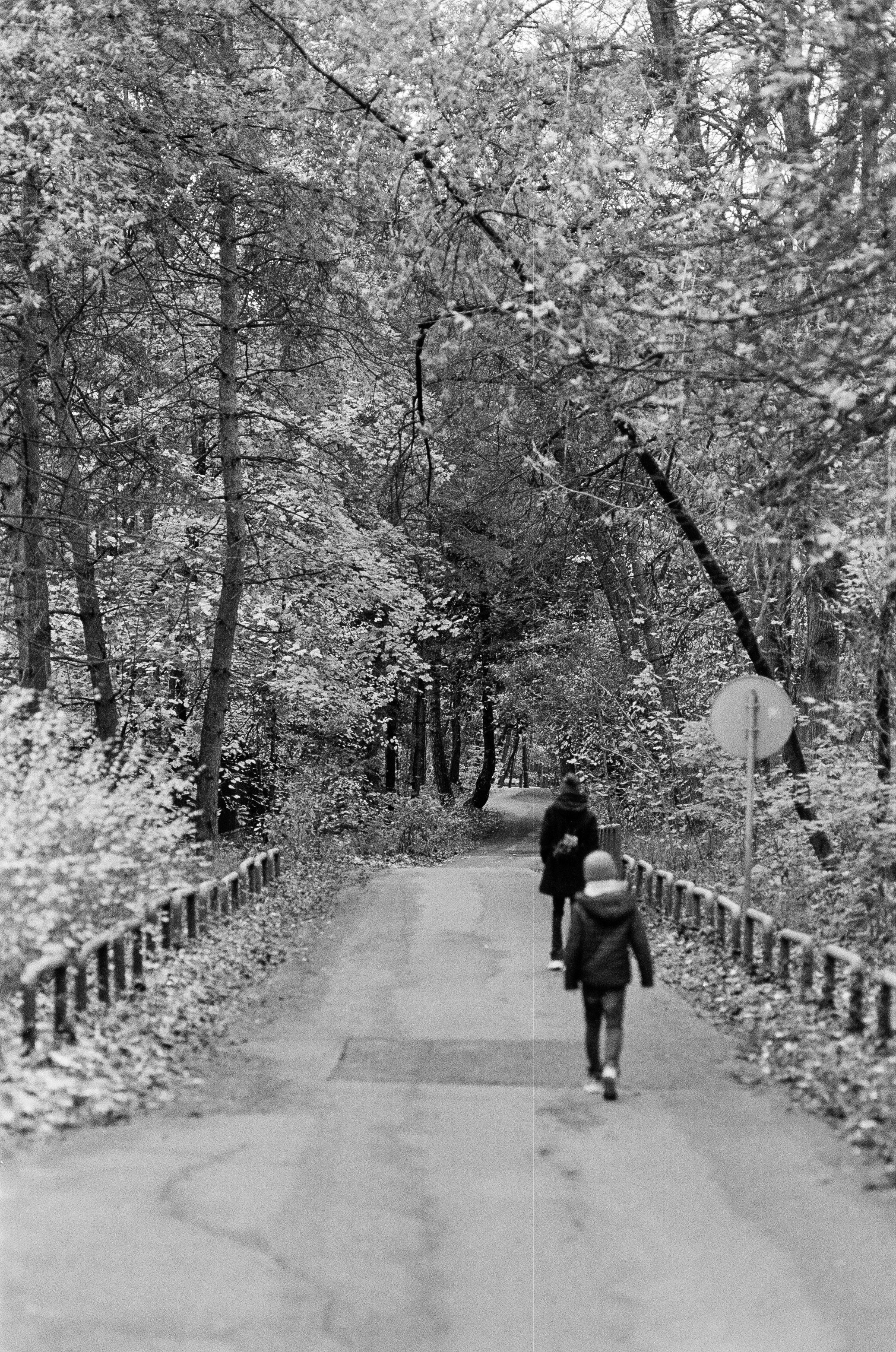 Minolta AF 85 mm f1.4 — Minolta Dynax 800si / Ilford HP5 Plus 400