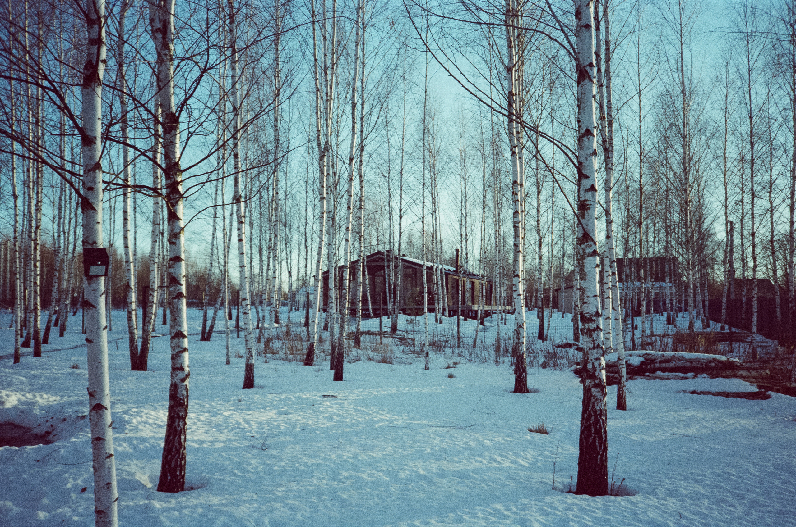 Hygge Dacha Велегож Парк на Fuji DL-300