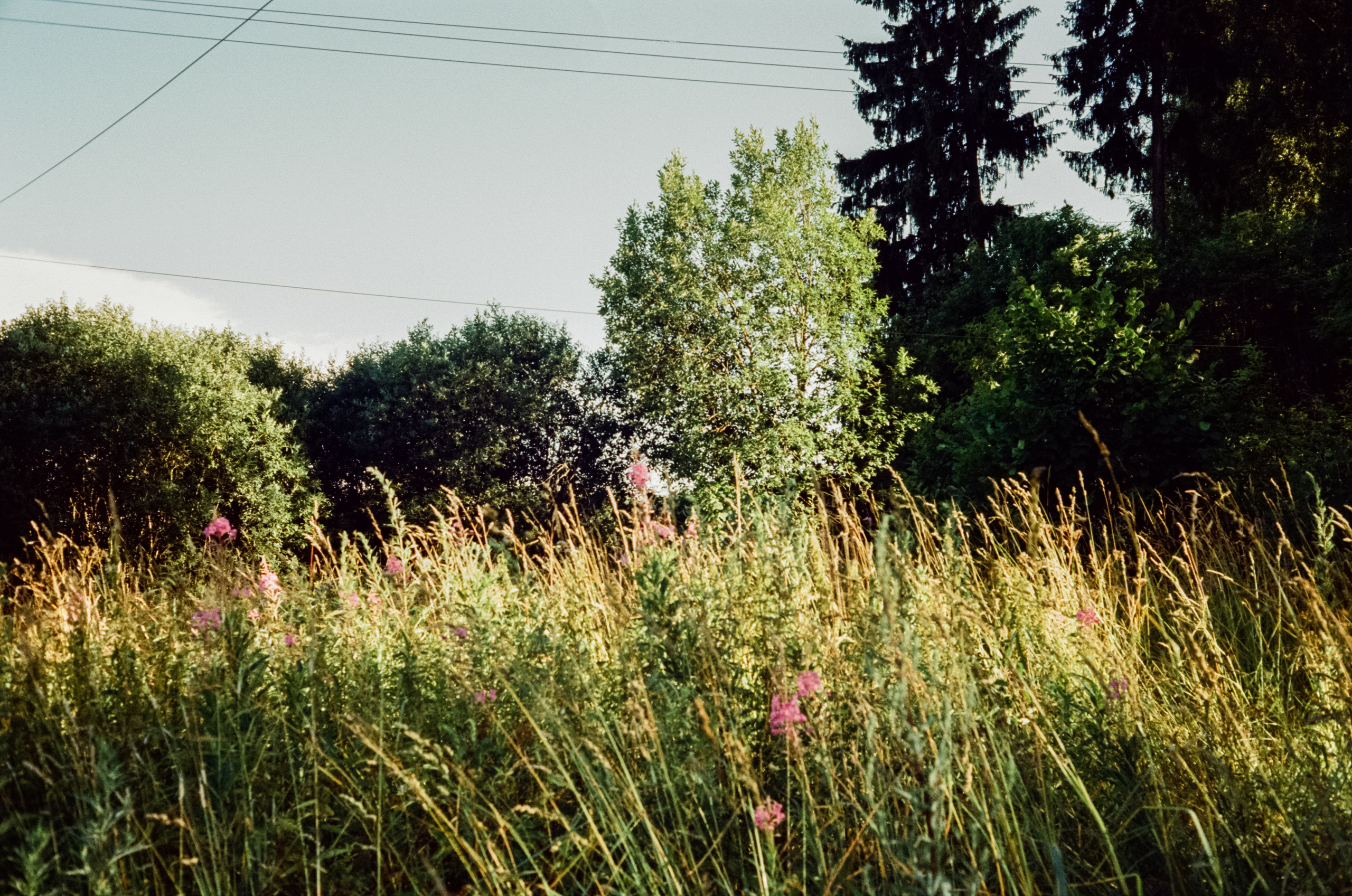 Canon Canonet QL17 G-III QL