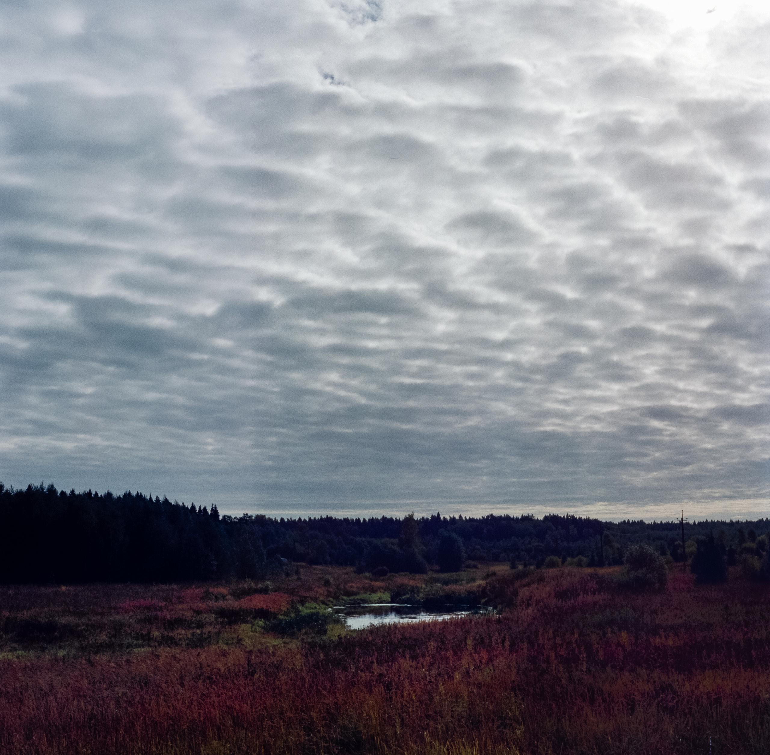 Kodak Retina IIIc — Retina Xenon C 50 mm f2.0 / Kodak Vision 3 250D