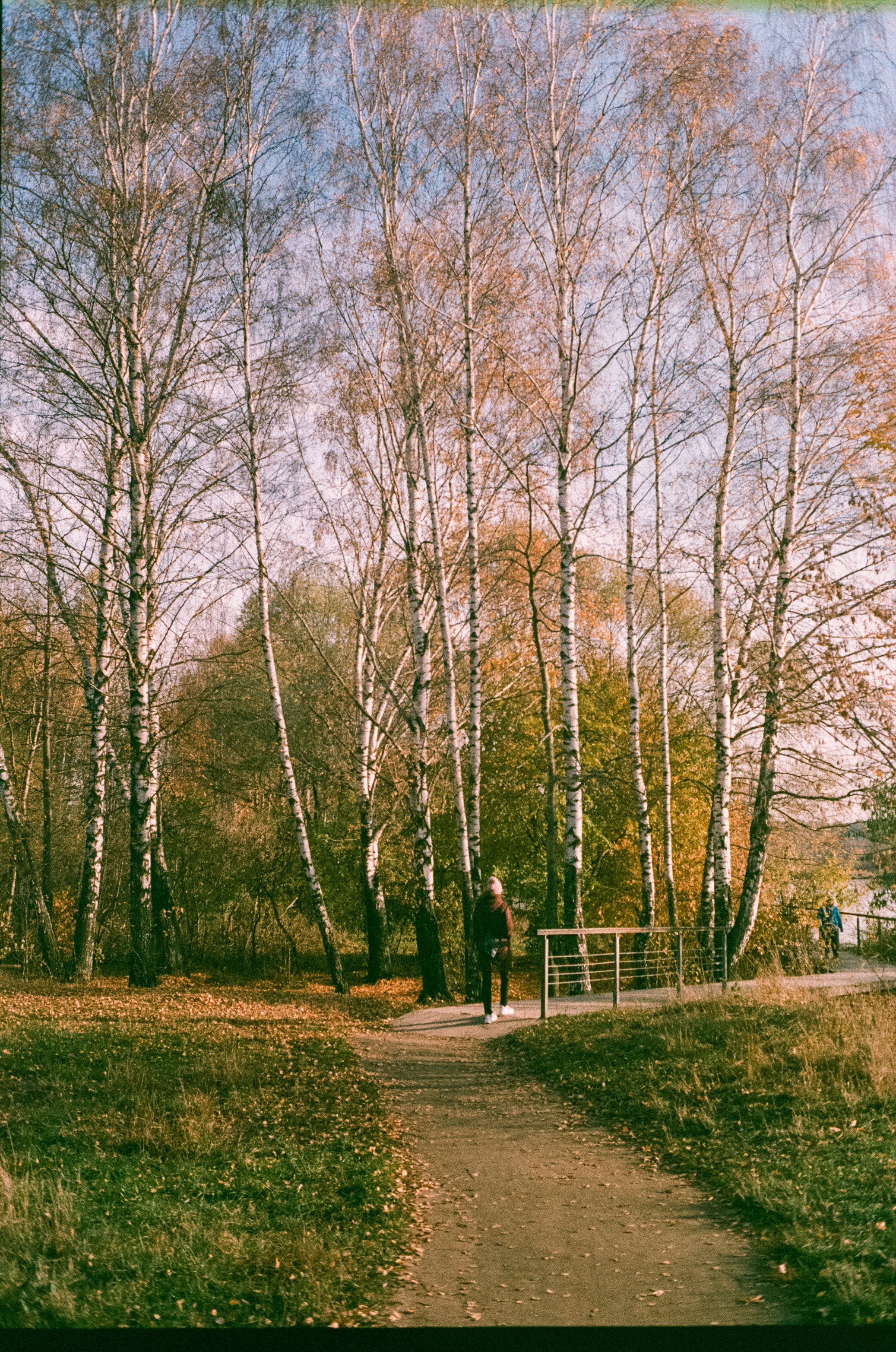 Konica Centuria Super ISO 400 примеры фотографий