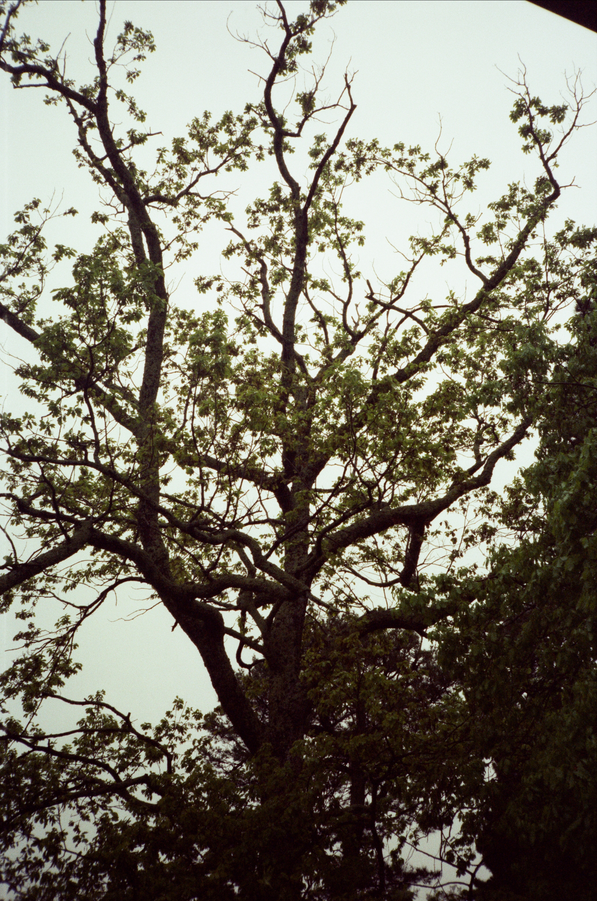 Дача Сталина и закаты в Сочи / Revue 35 CC