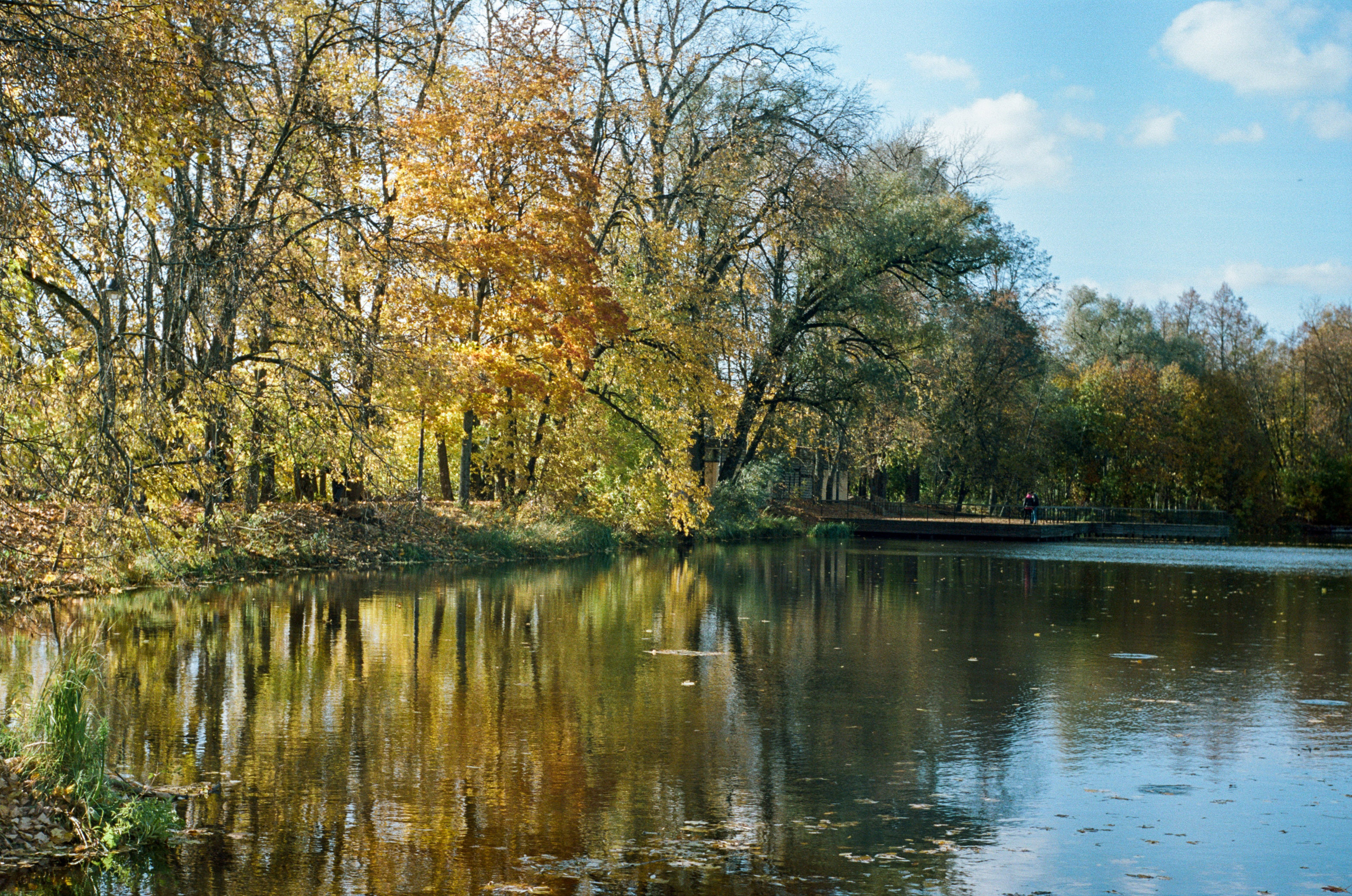 Enna Munchen Ennalyt 50mm f1.9 примеры фотографий