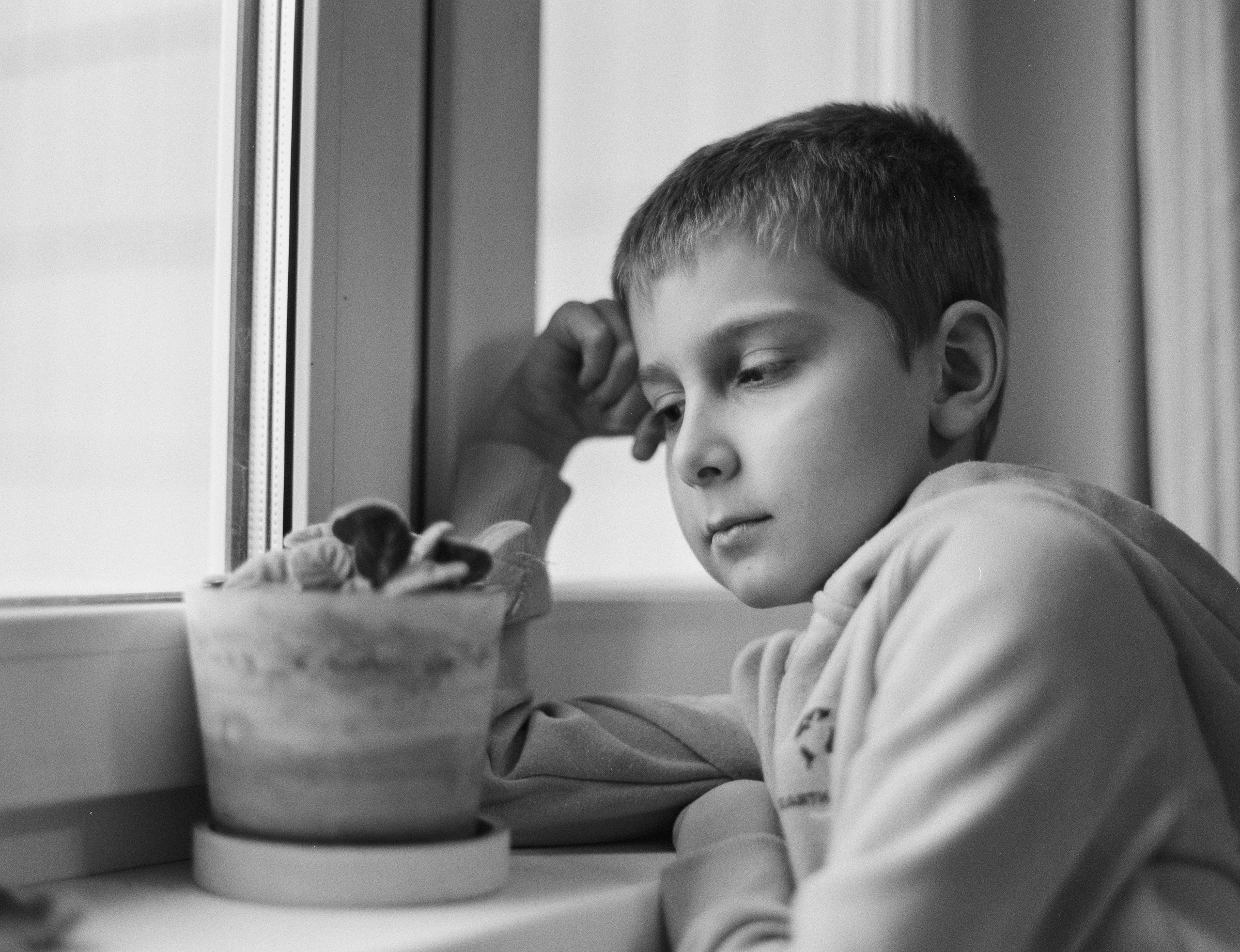 Mamiya-Sekor C 80mm f1.9