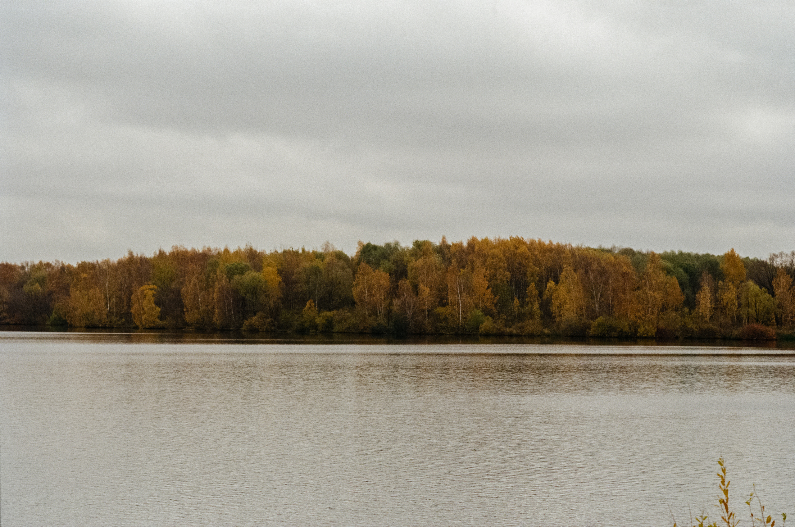 Московская осень на Kodak Gold 200