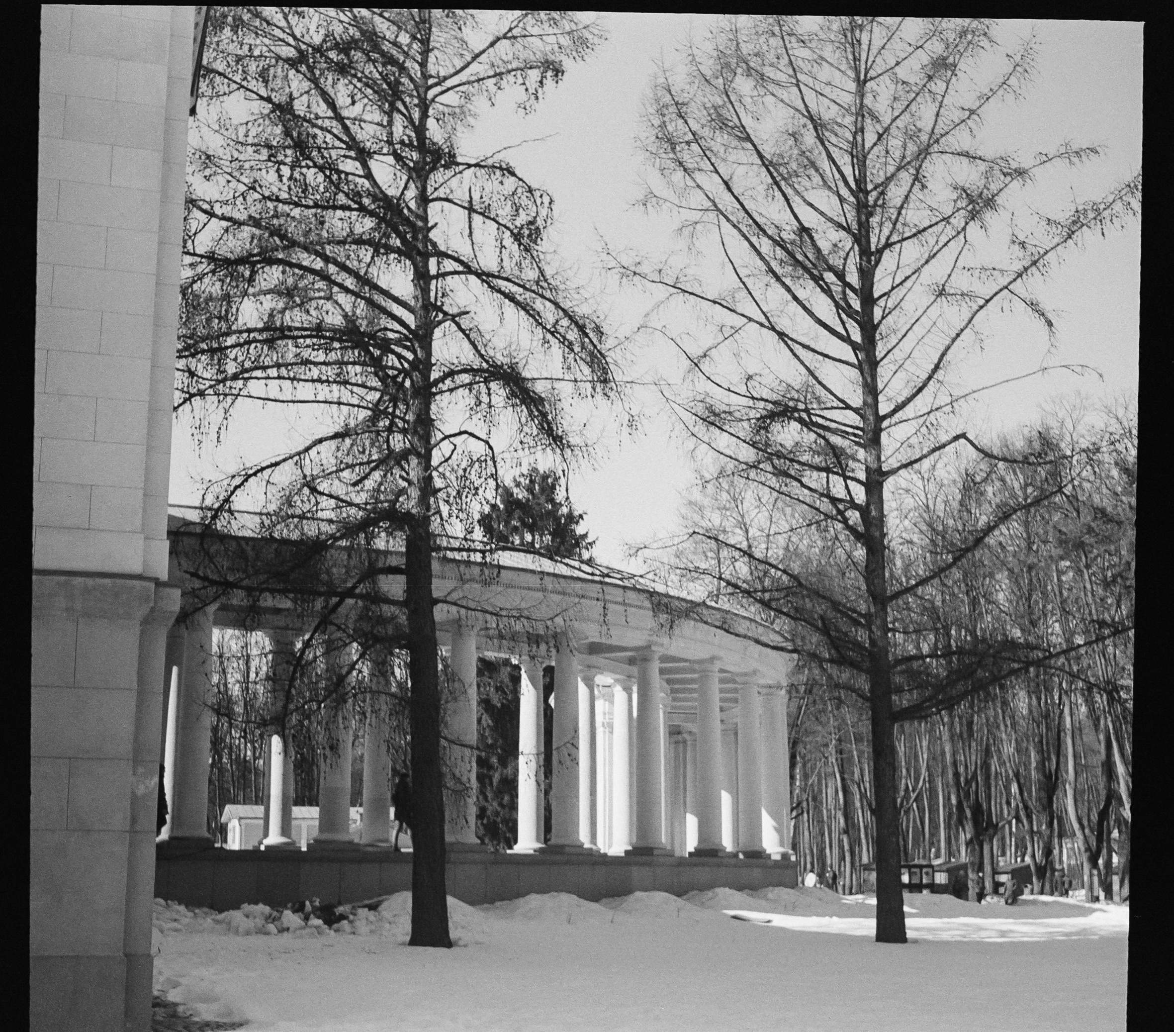 SFL UN 54 BW / Zeiss Ikon Tenax