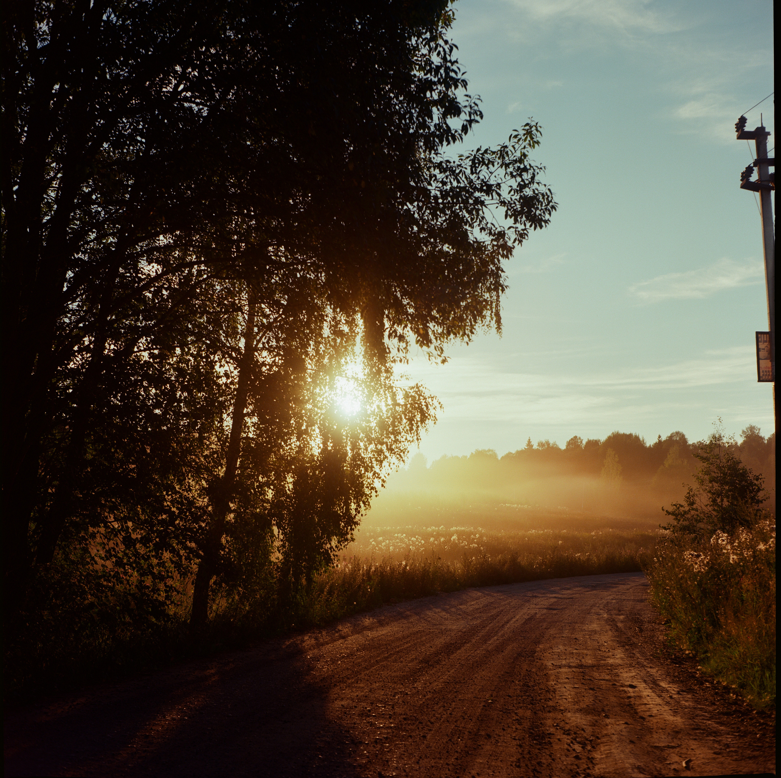 Закат на Kodak Ektar 100 и Yashica Mat-124