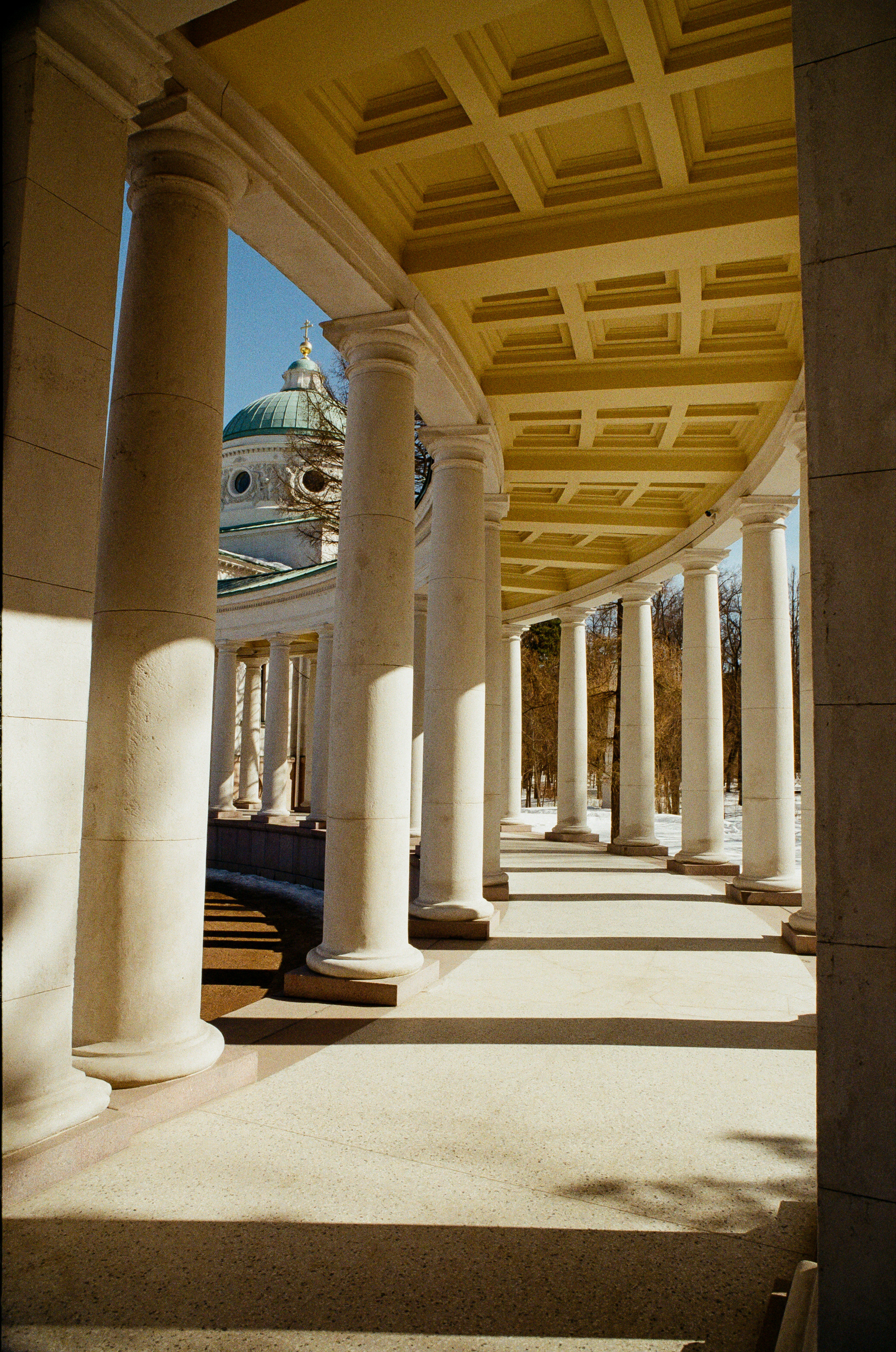 Kodak Ektar 100 / Contax N1