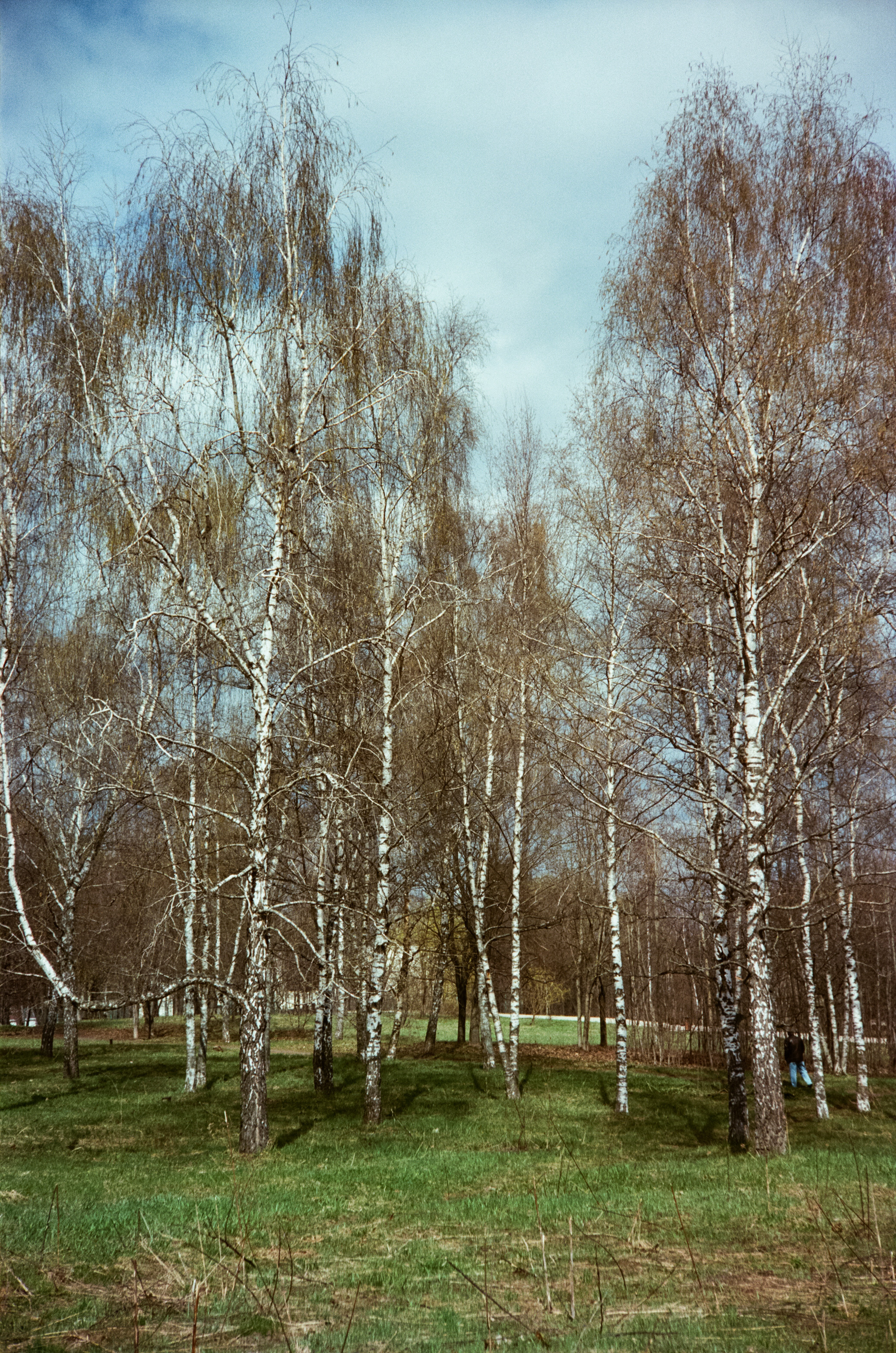 Kodak Portra 160 / Walz Envoy 35