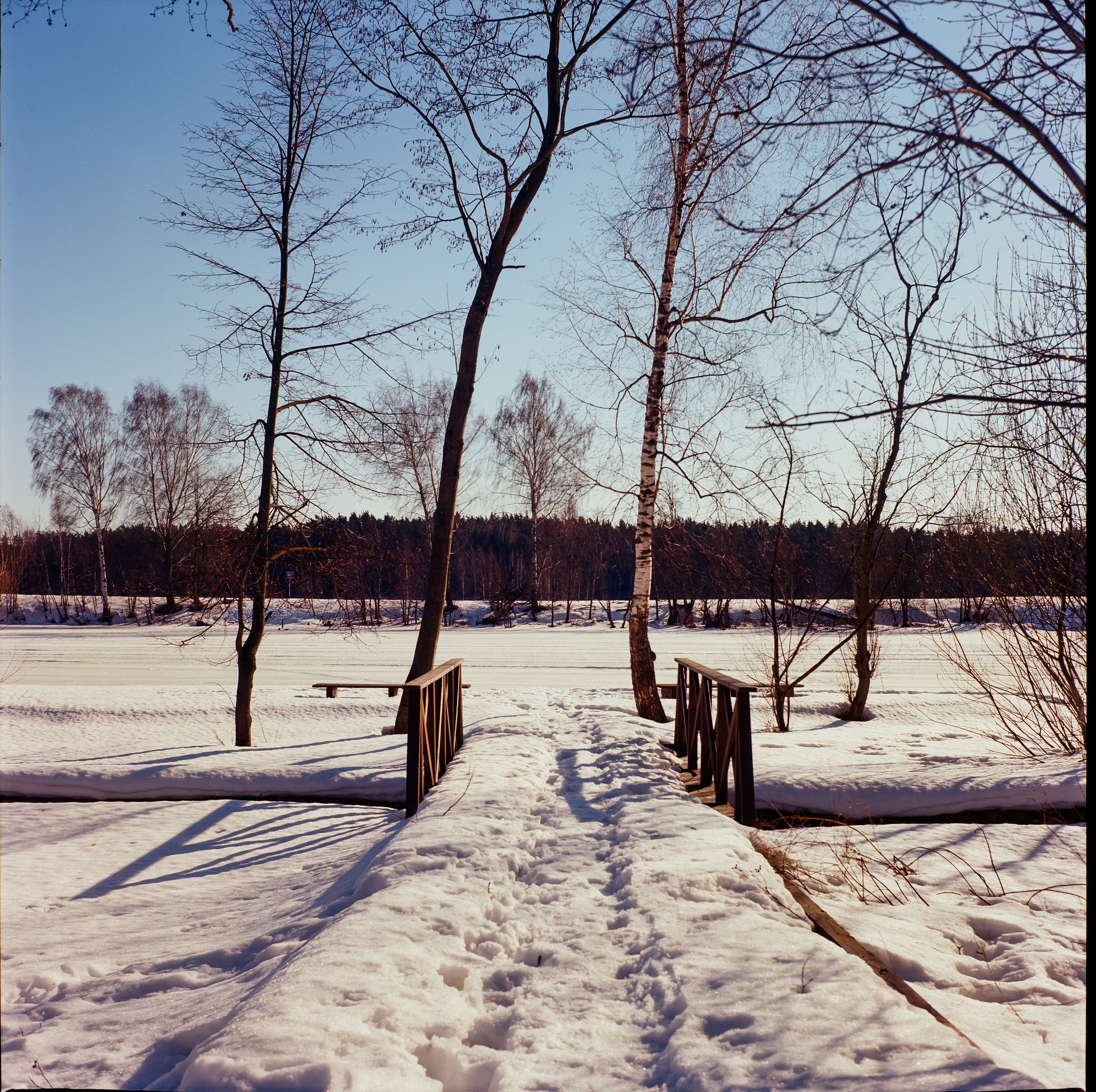 Yashica Mat 124