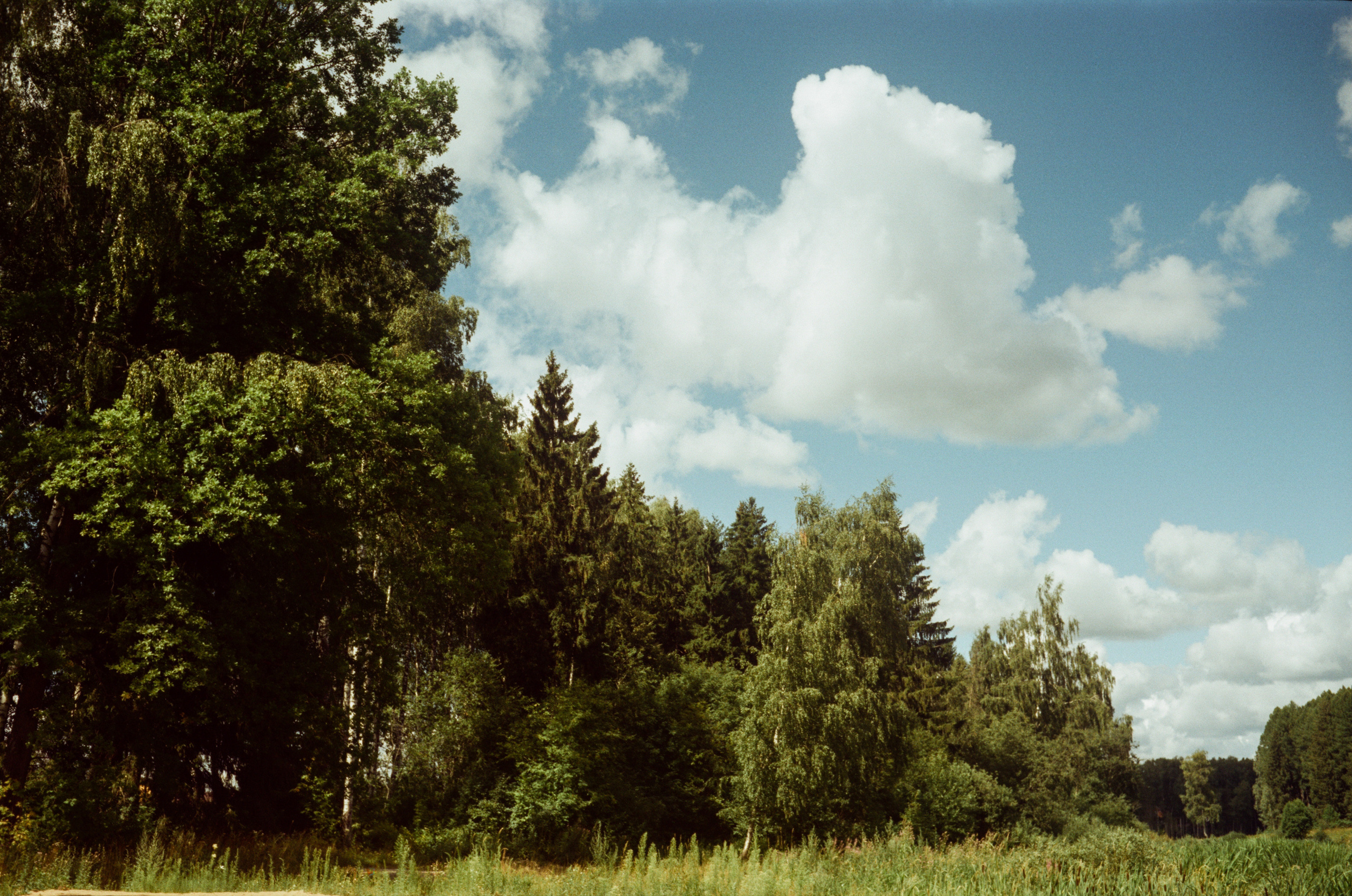 Canon Canonet QL17 G-III QL