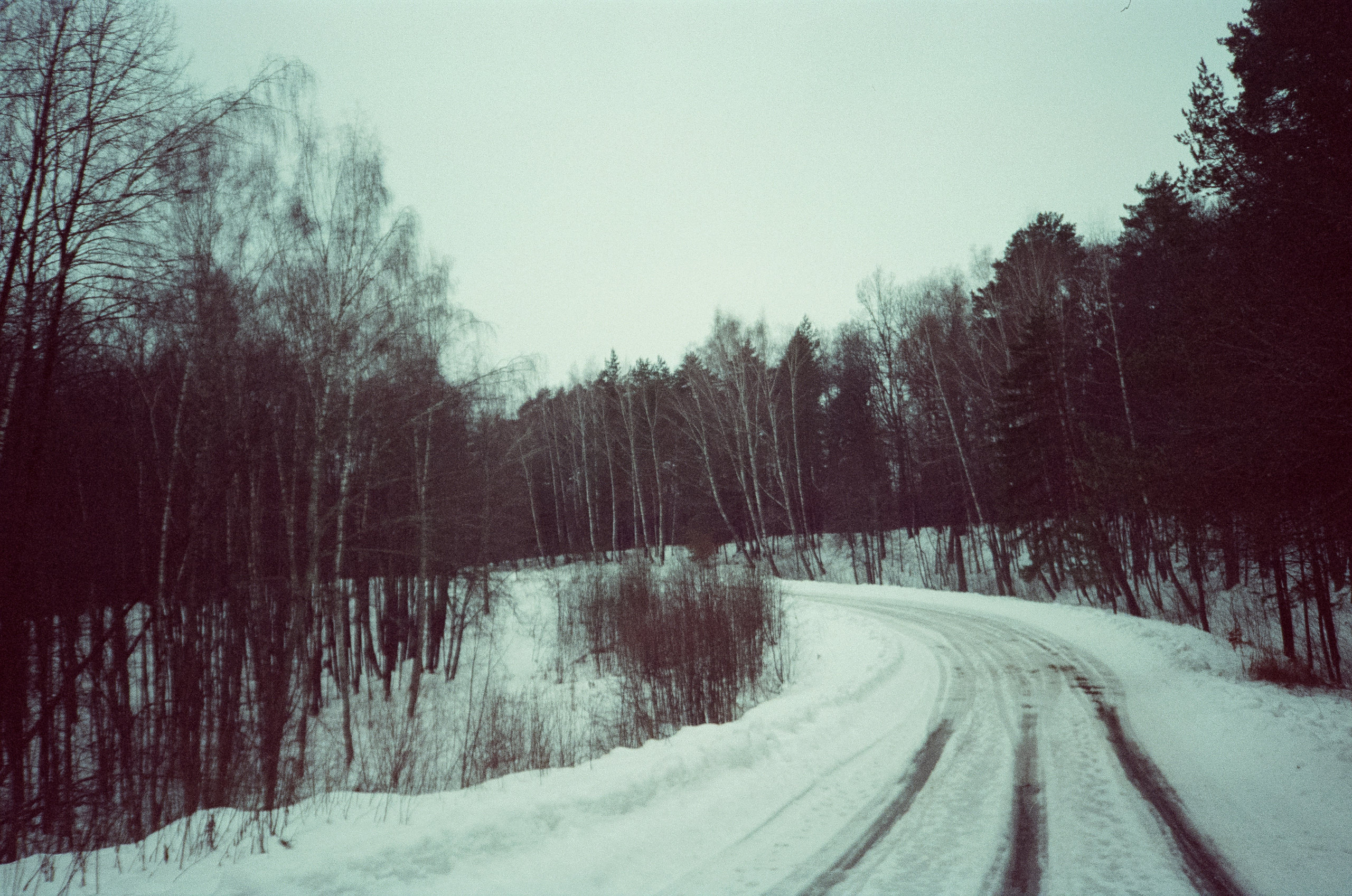 Примеры фотографий на Fuji DL-300 (Поленово)