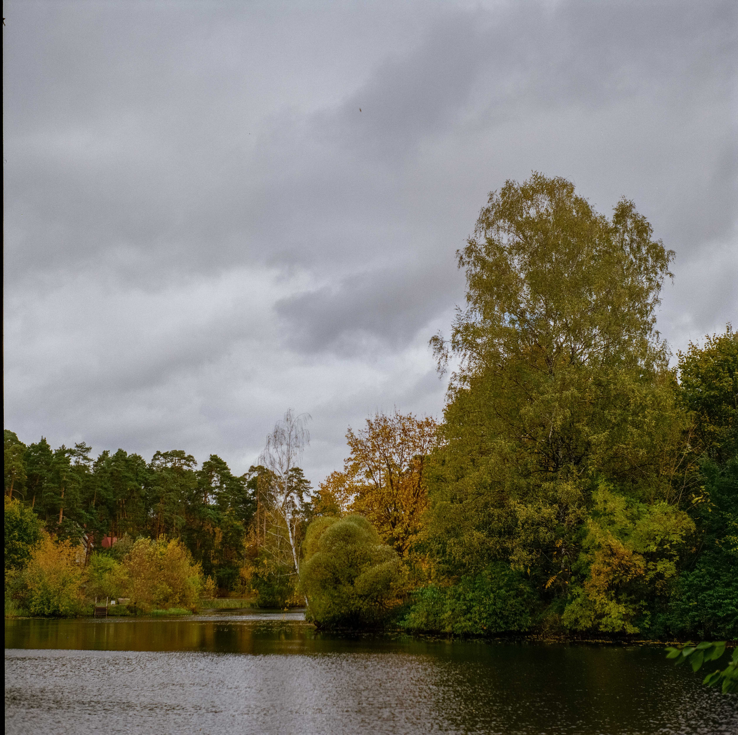 Yashica Mat-124G / Kodak Gold 200